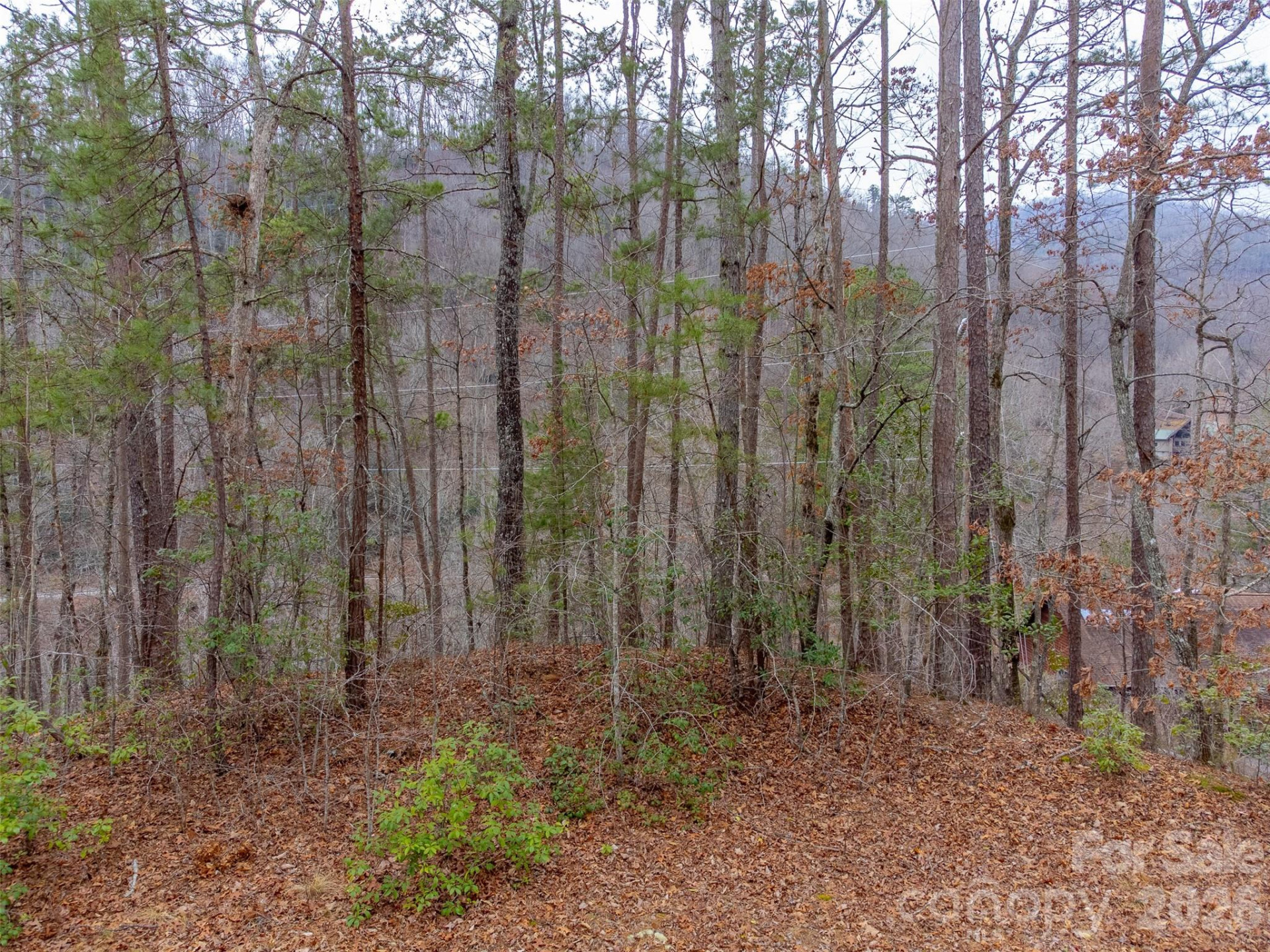 Lot 3 River Valley Estates #3 - Photo 7