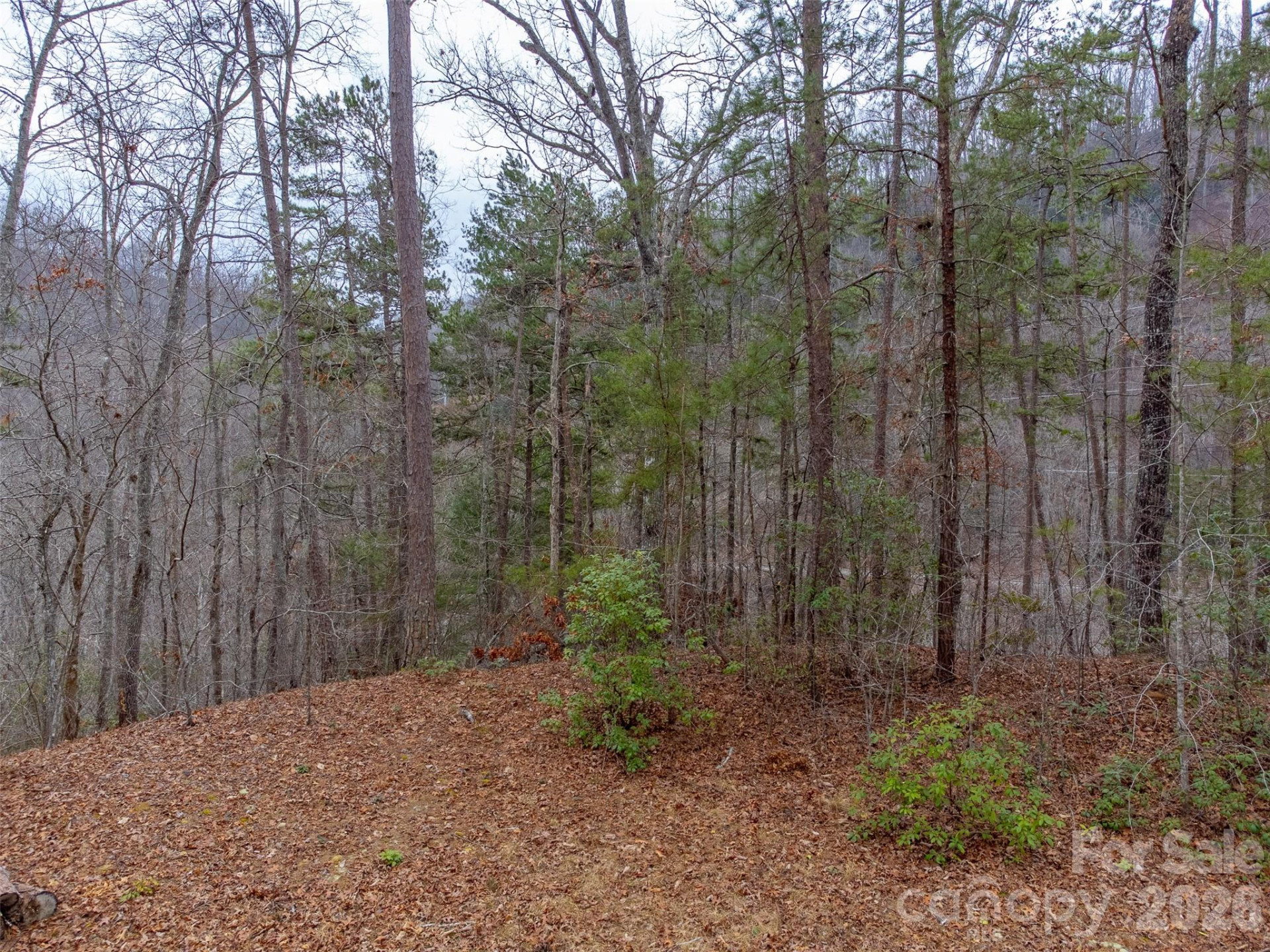 Lot 3 River Valley Estates #3 - Photo 8