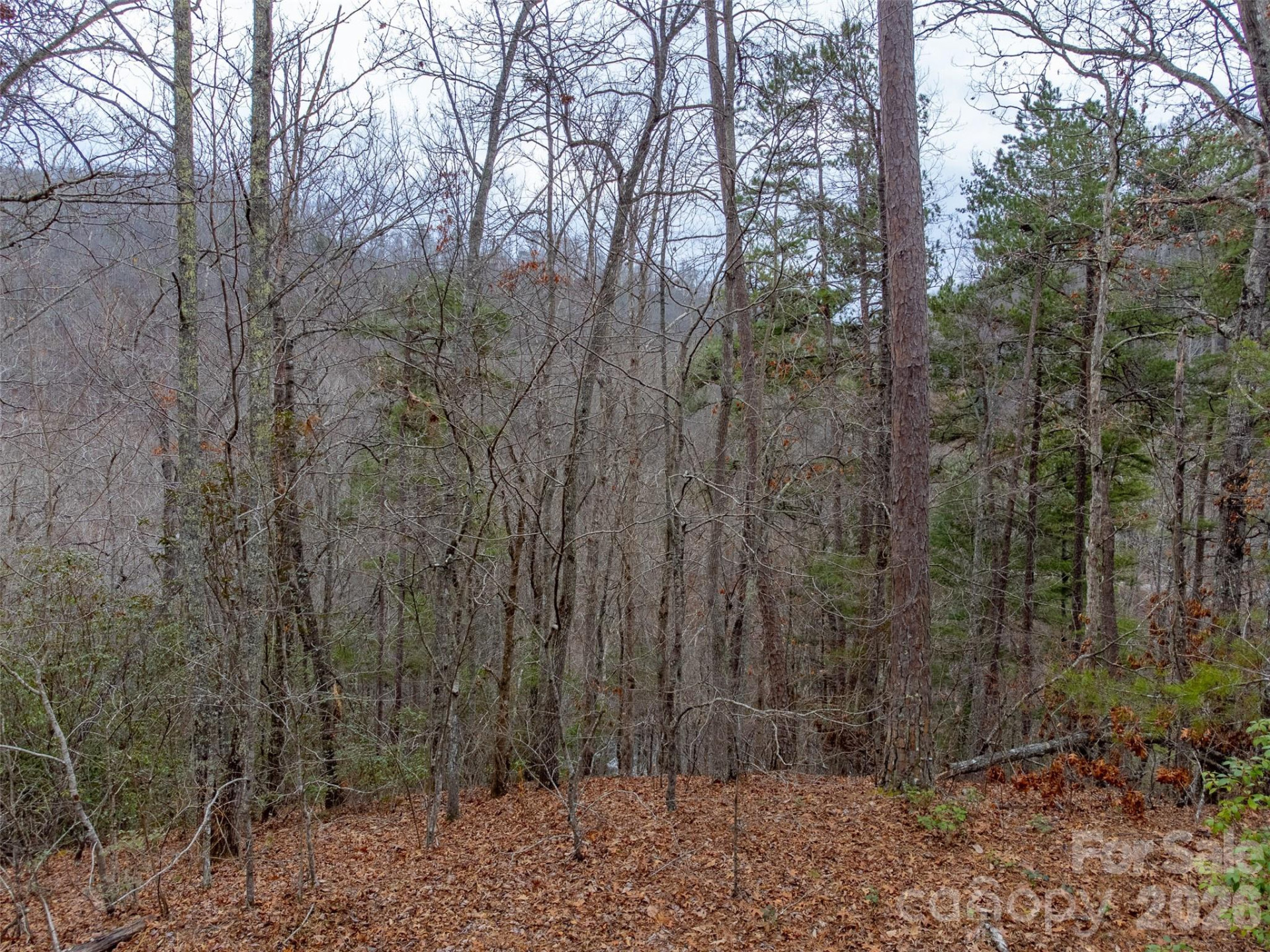 Lot 3 River Valley Estates #3 - Photo 9