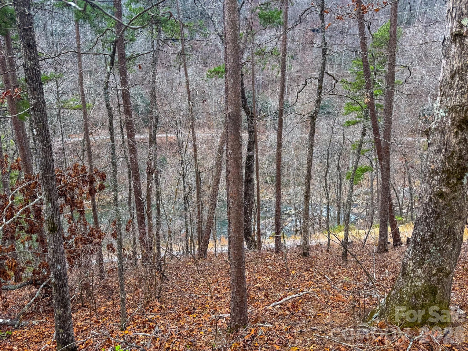 Lot 3 River Valley Estates #3 - Photo 10