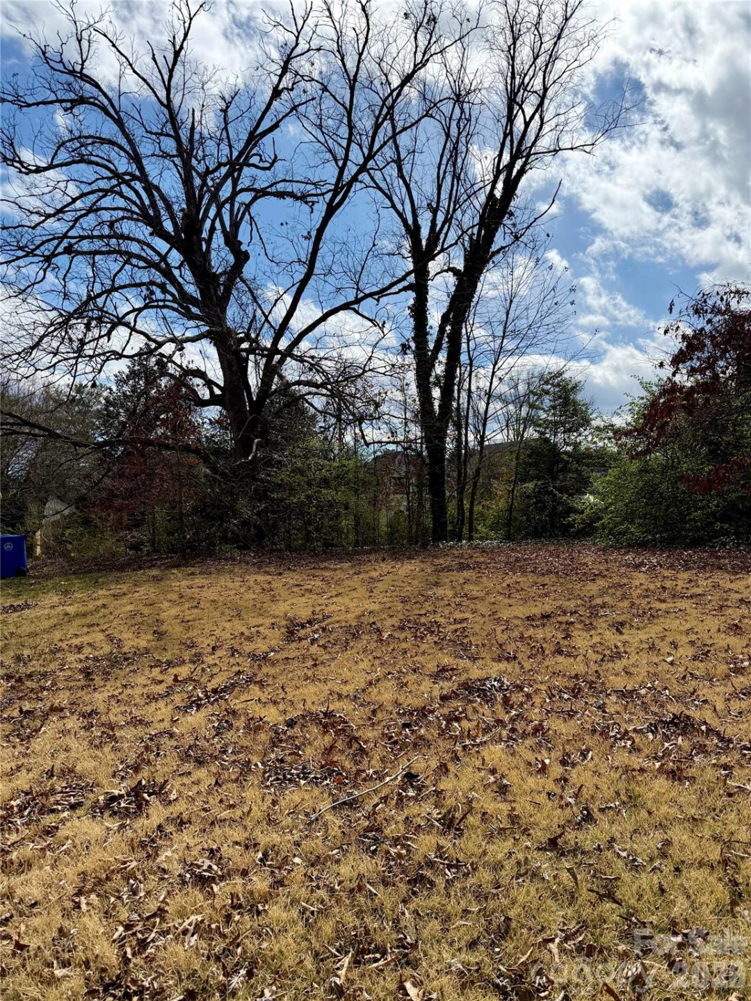 41 Maney Avenue - Photo 4