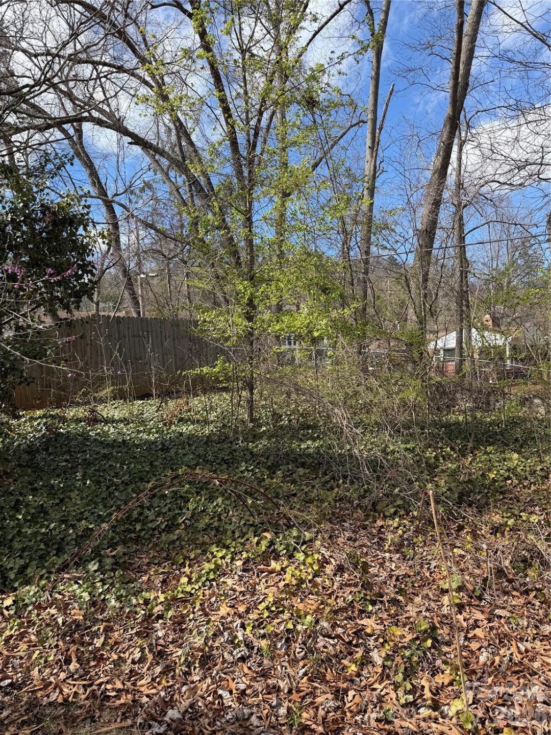 41 Maney Avenue - Photo 7