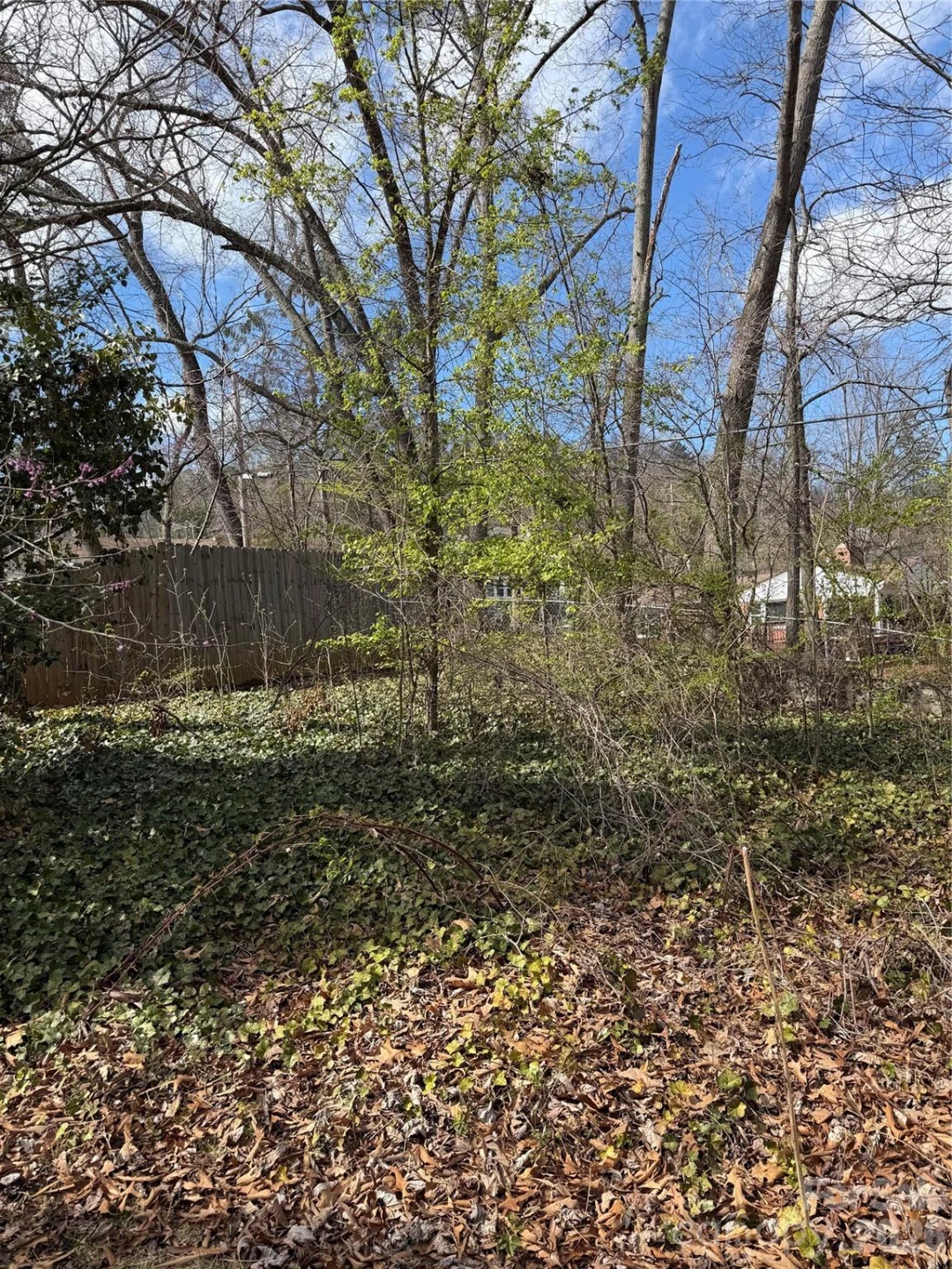 41 Maney Avenue - Photo 7
