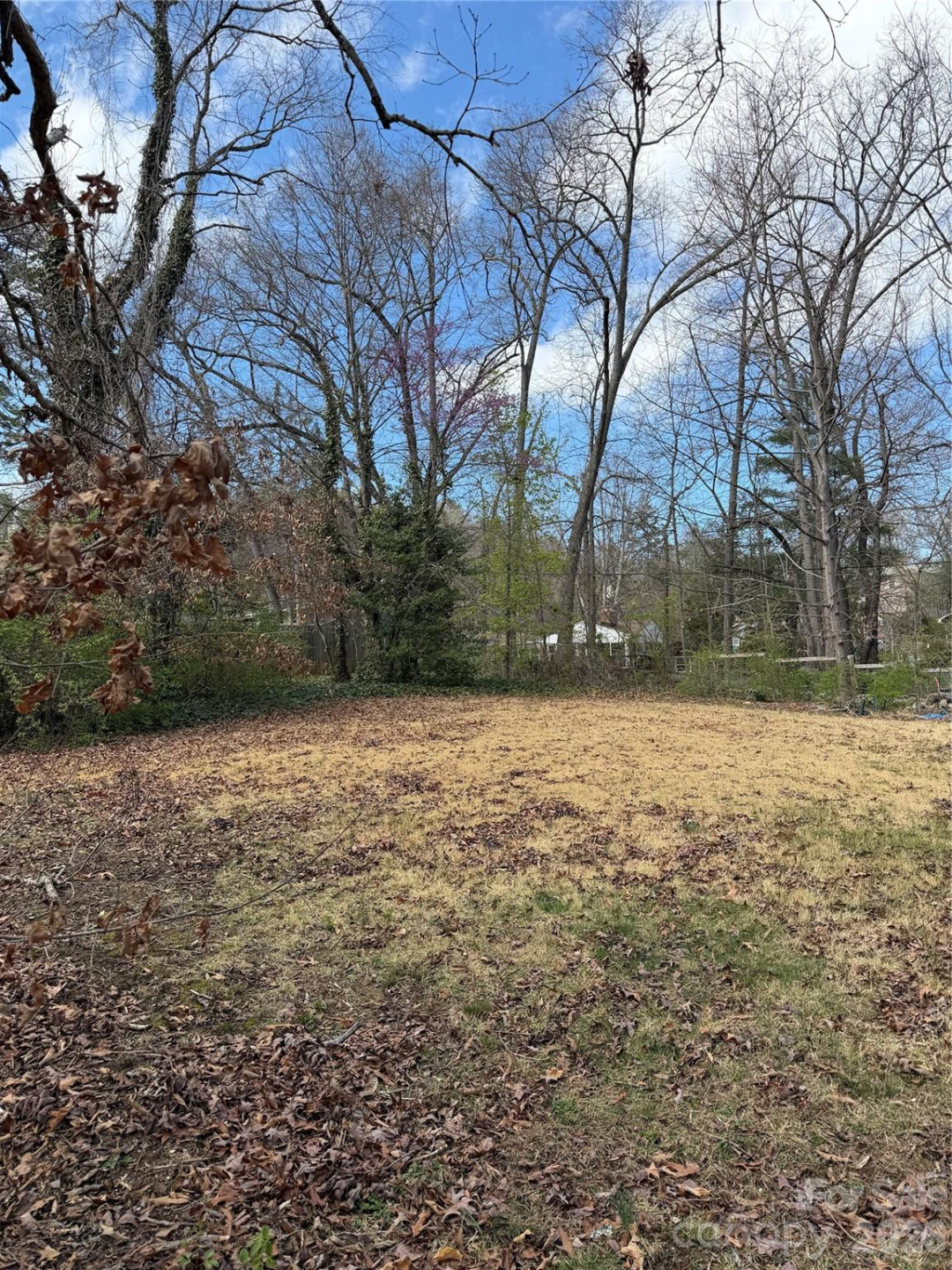 41 Maney Avenue - Photo 9