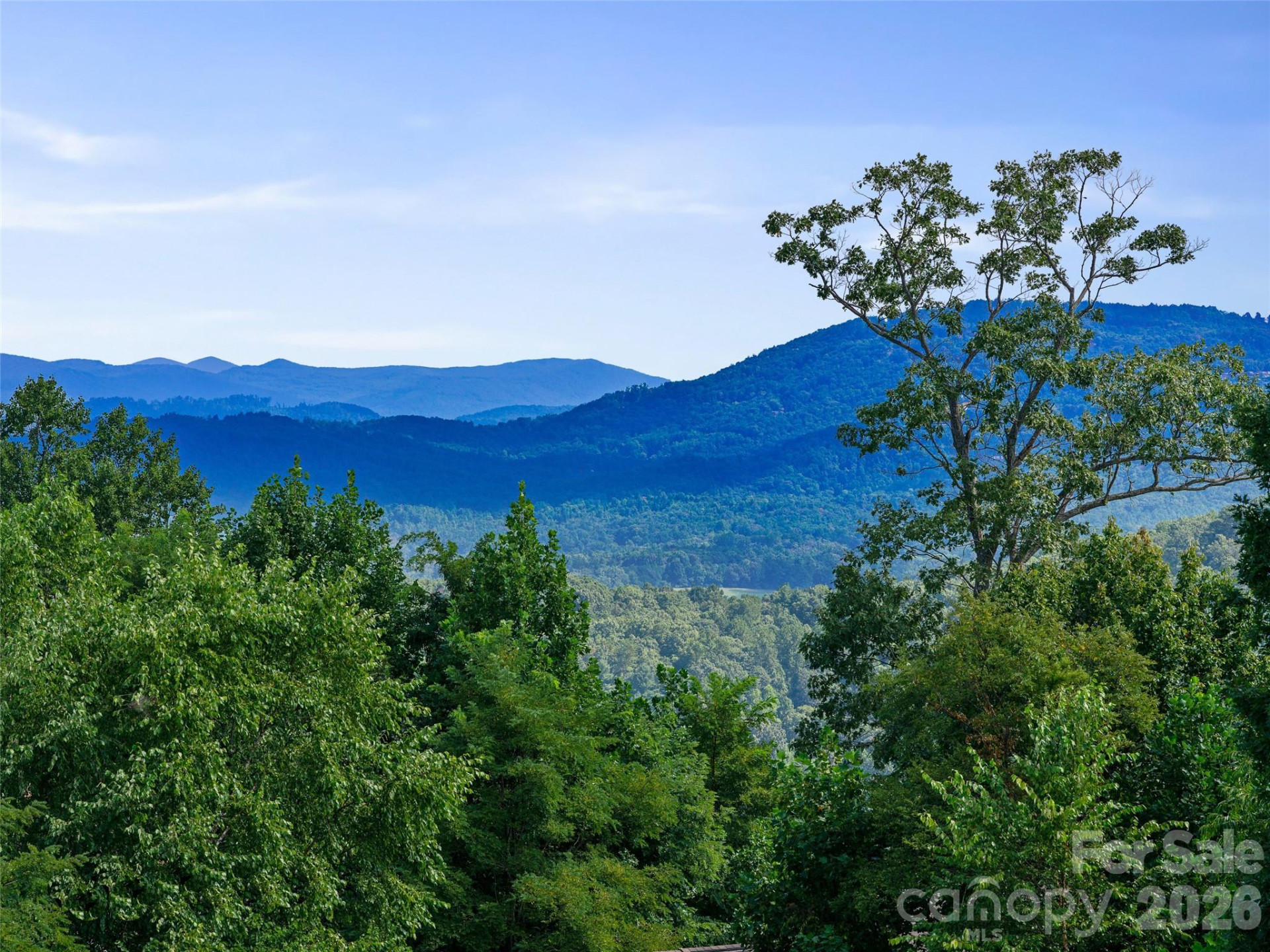 247 Coachman Drive - Photo 48