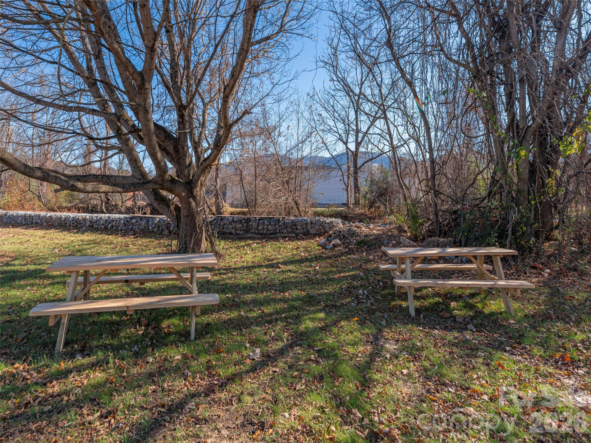 34 Leap Frog Park - Photo 16