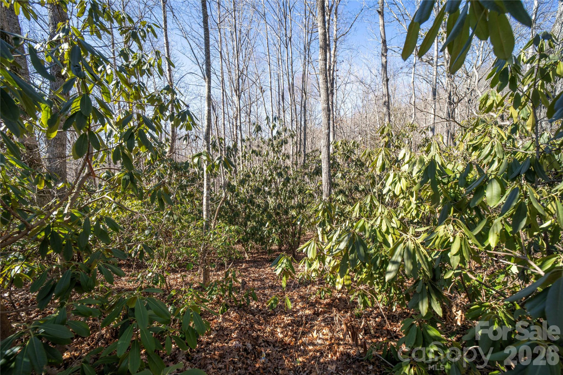 2310 Golf Club Court - Photo 11