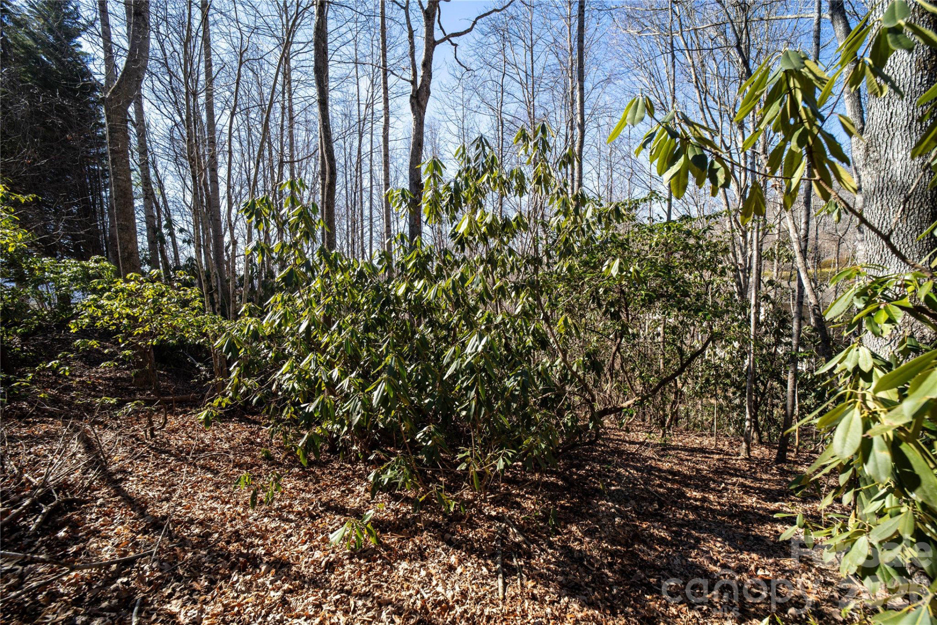 2310 Golf Club Court - Photo 12