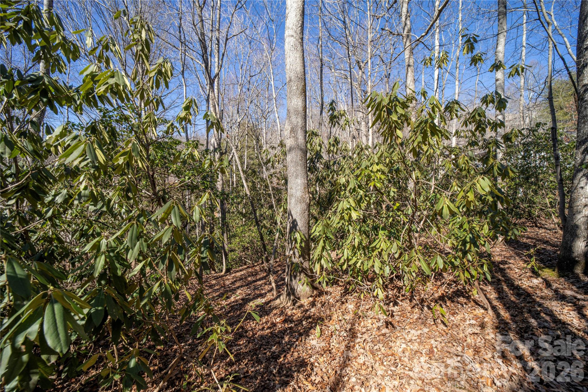 2310 Golf Club Court - Photo 13