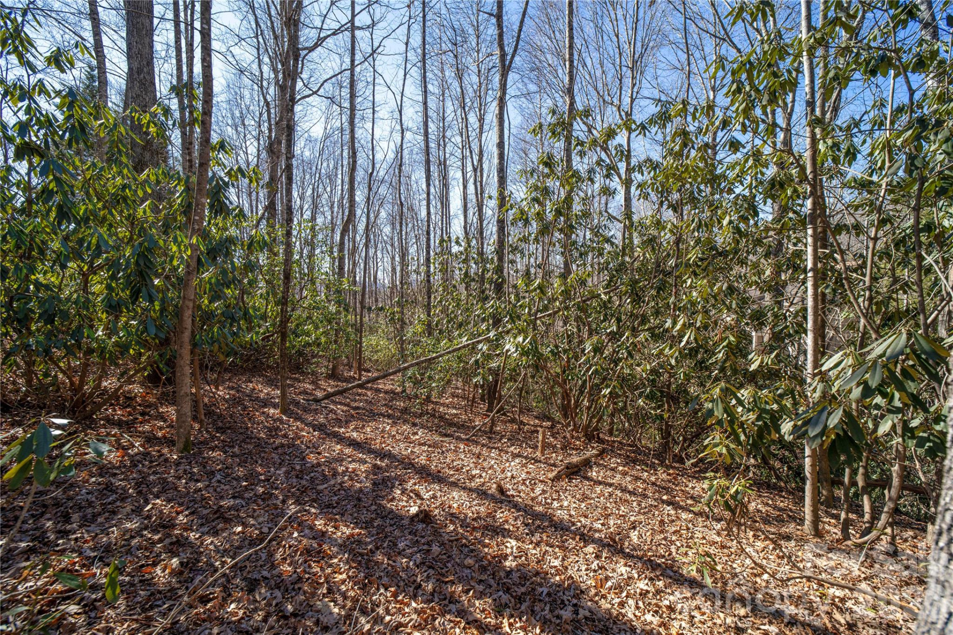 2310 Golf Club Court - Photo 15