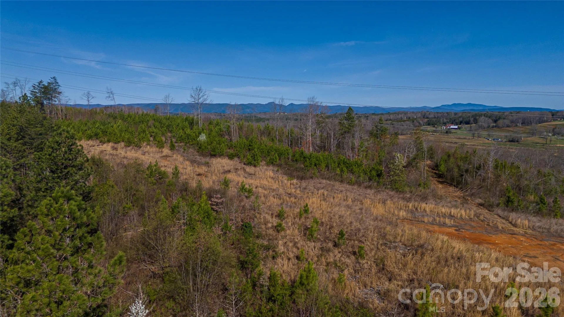 0 Carbon City Road - Photo 9