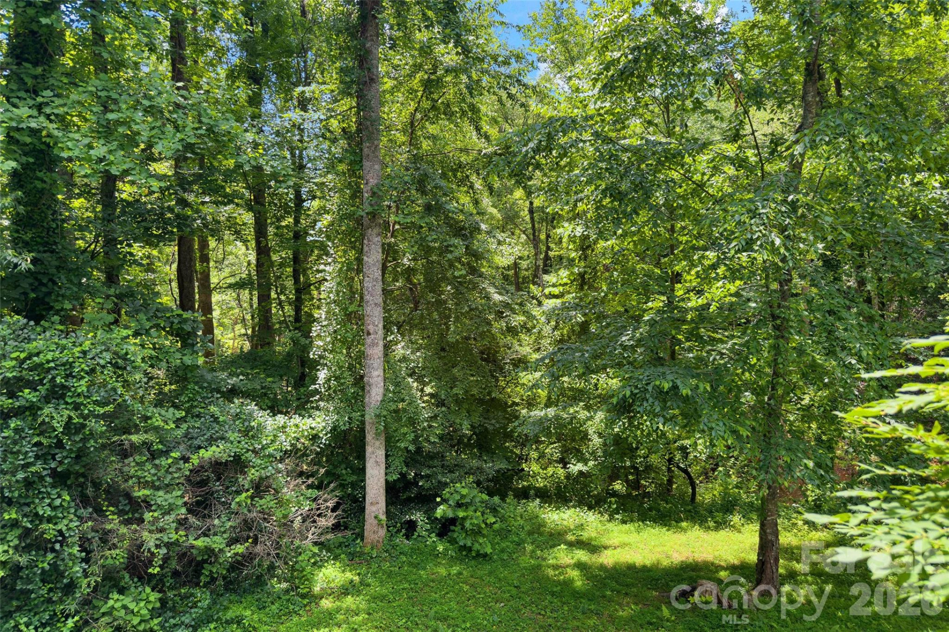 57 Rocky Branch Trail - Photo 46