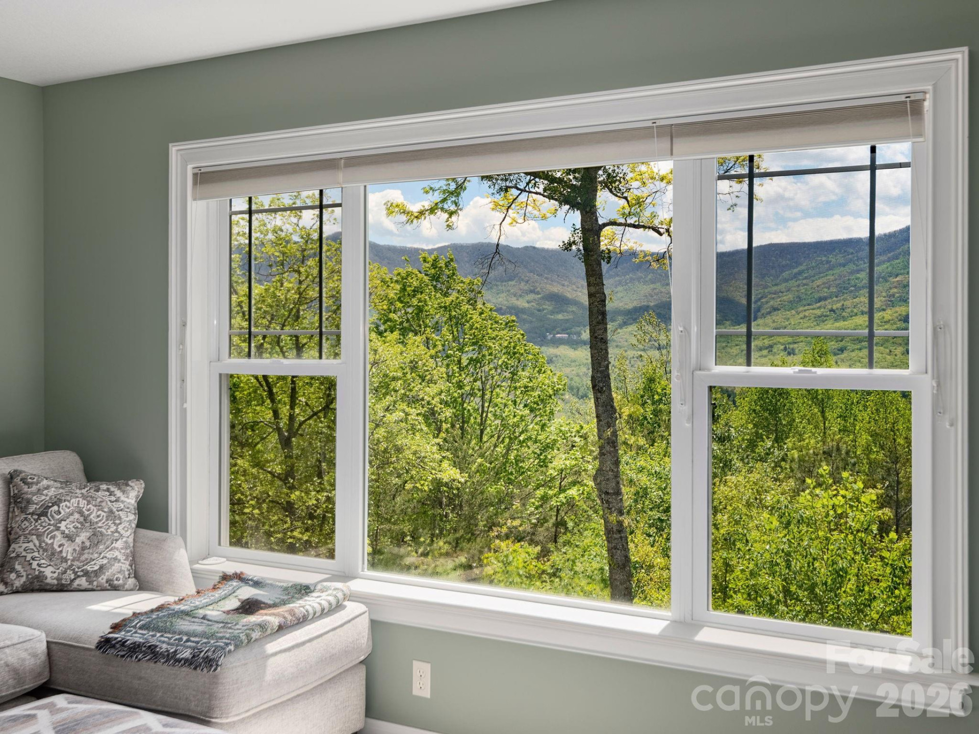 43 Galax Lane - Photo 24