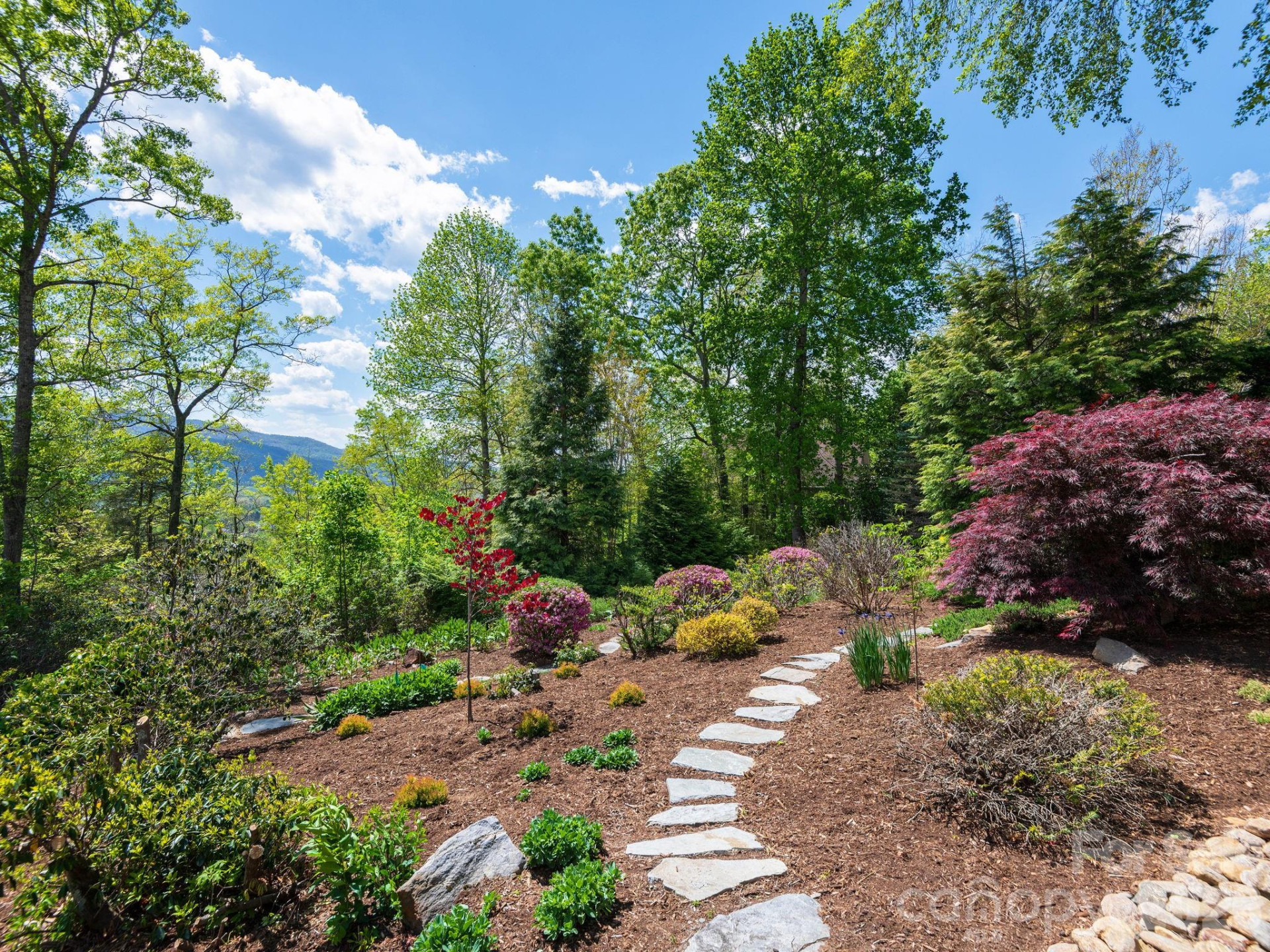 43 Galax Lane - Photo 34