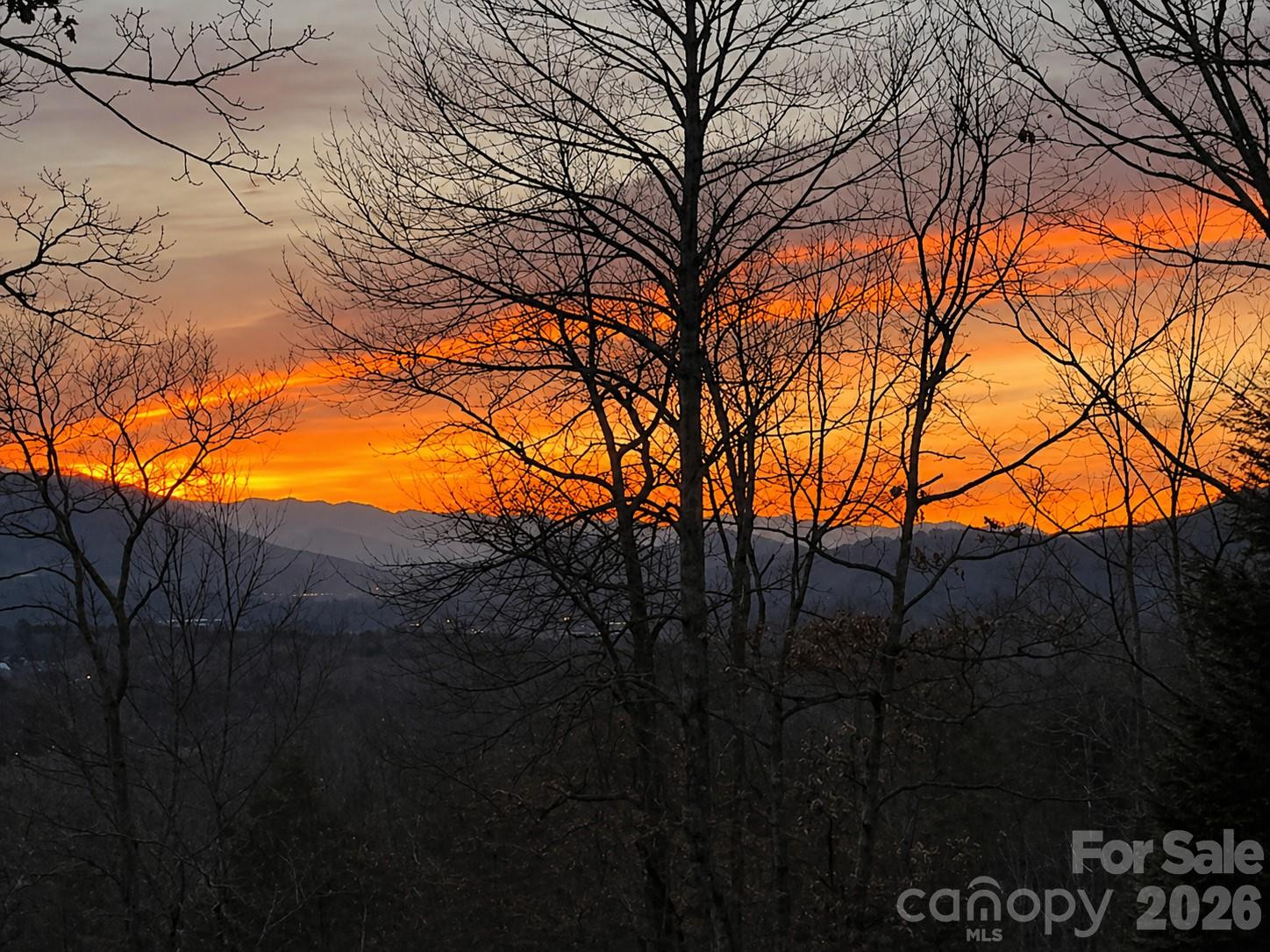 43 Galax Lane - Photo 41