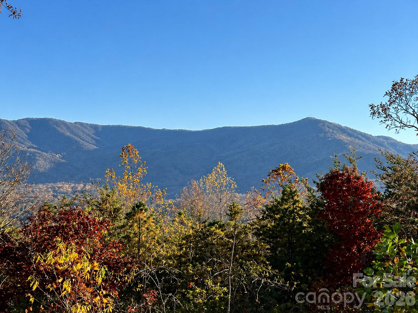 43 Galax Lane - Photo 43