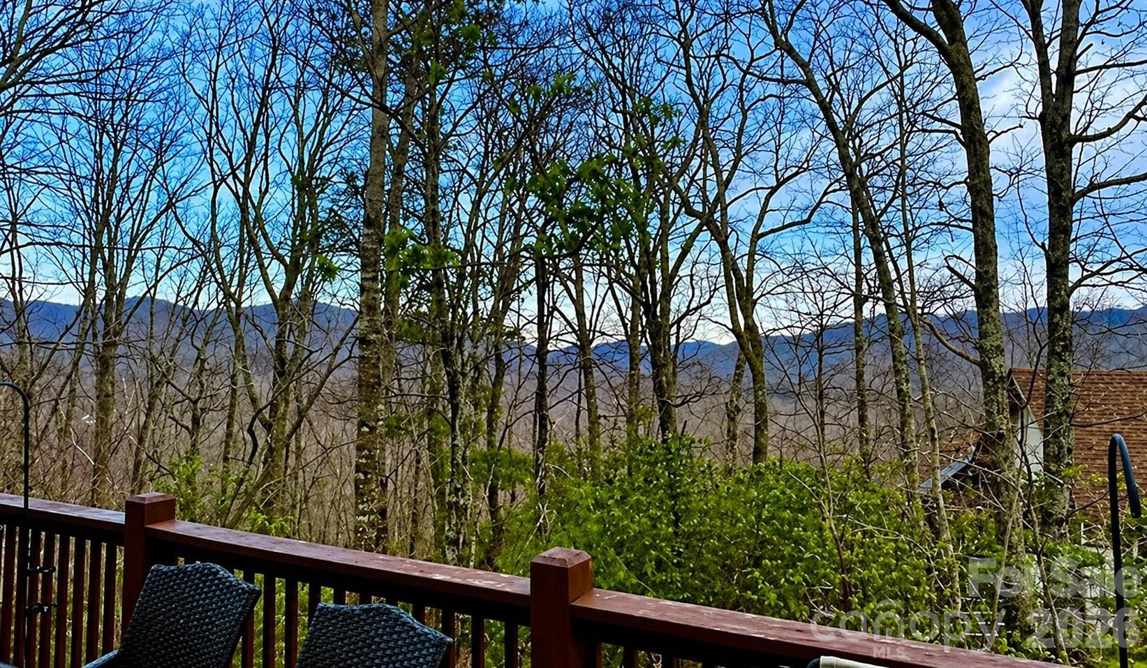 43 Galax Lane - Photo 44