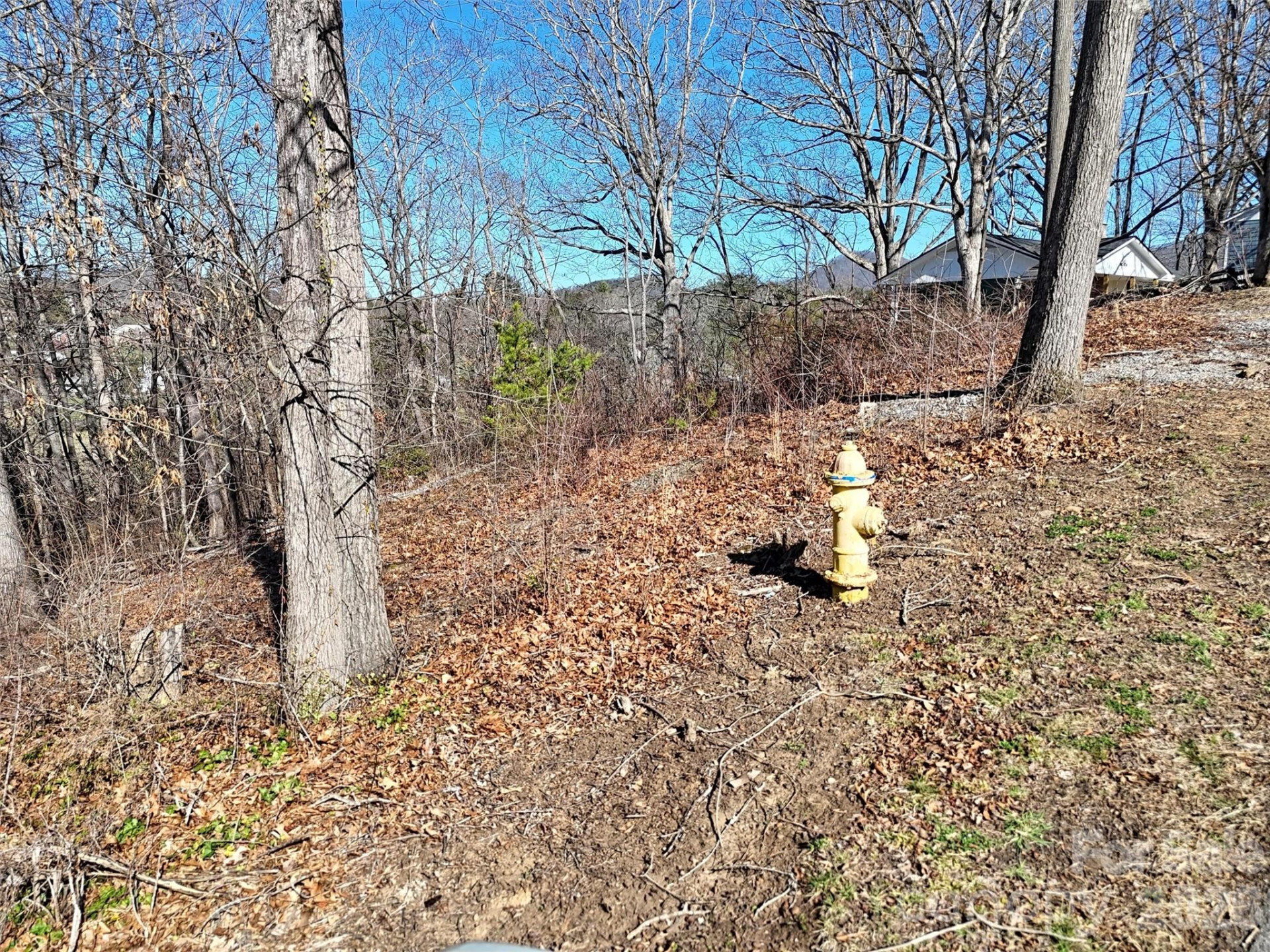 131 Skyline Drive #31 - Photo 11