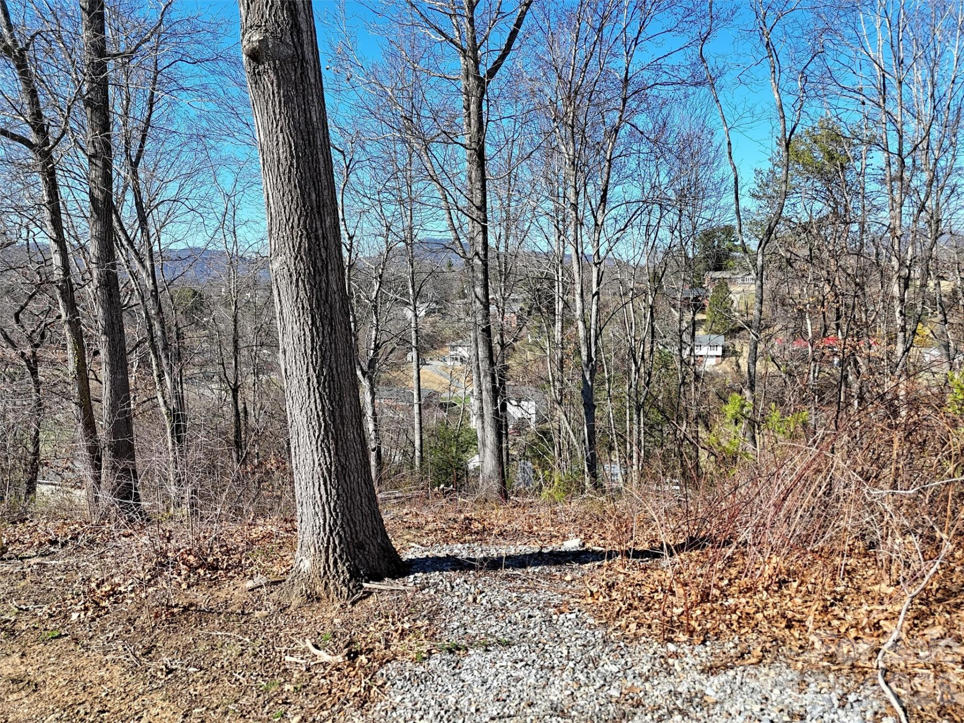 131 Skyline Drive #31 - Photo 12