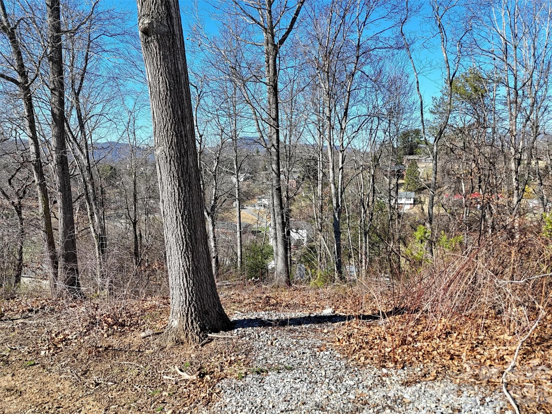 131 Skyline Drive #31 - Photo 12