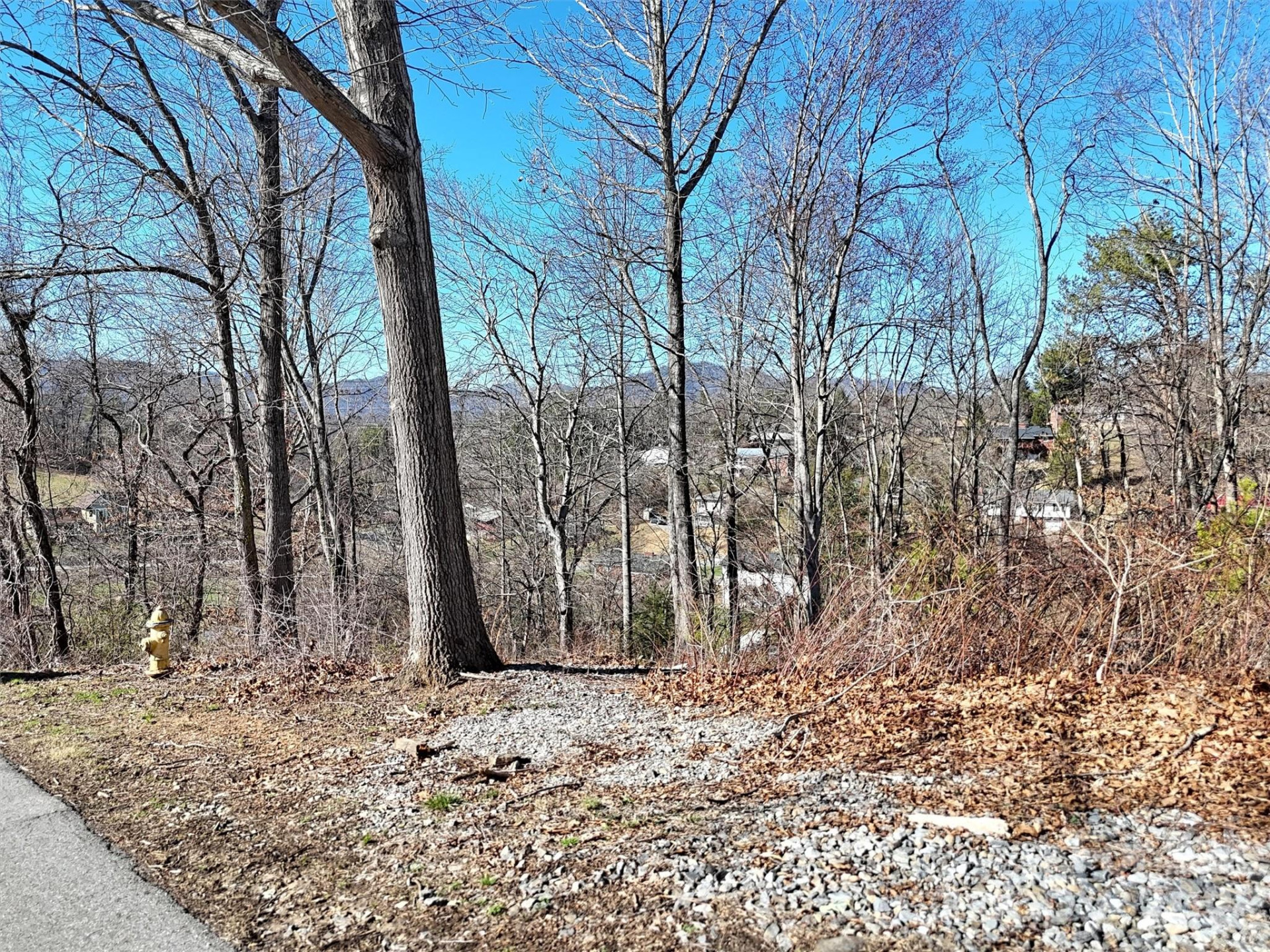 131 Skyline Drive #31 - Photo 14