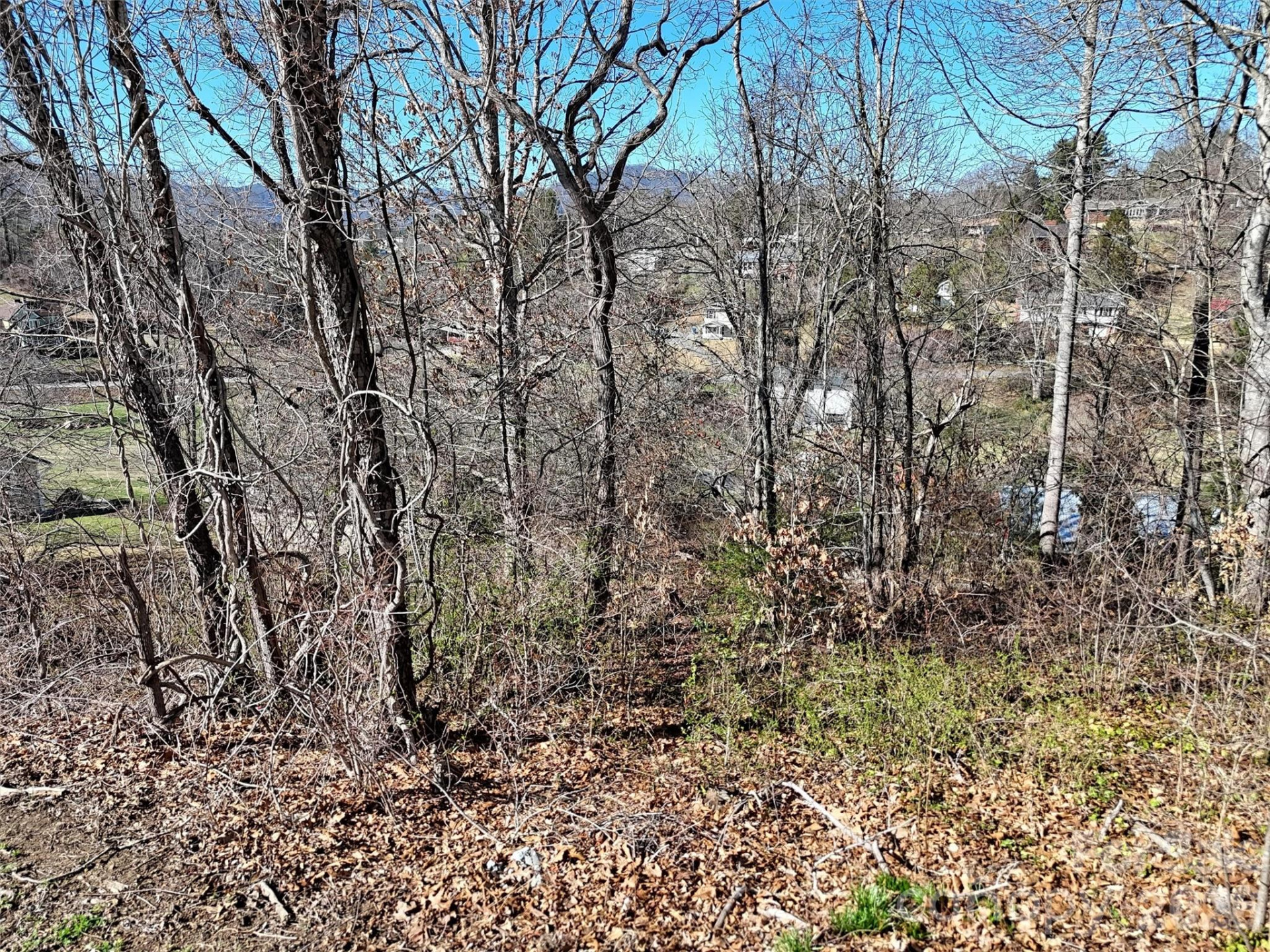 131 Skyline Drive #31 - Photo 9