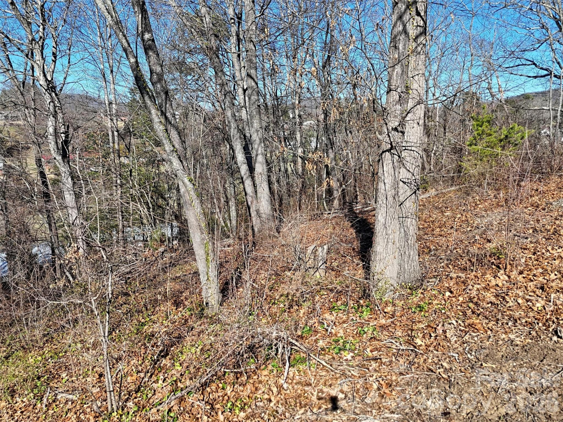 131 Skyline Drive #31 - Photo 10