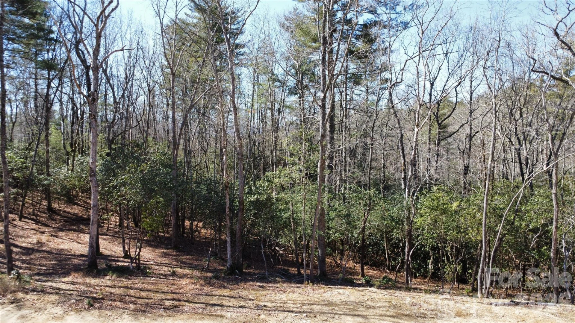 000 Bulling Creek Road - Photo 3