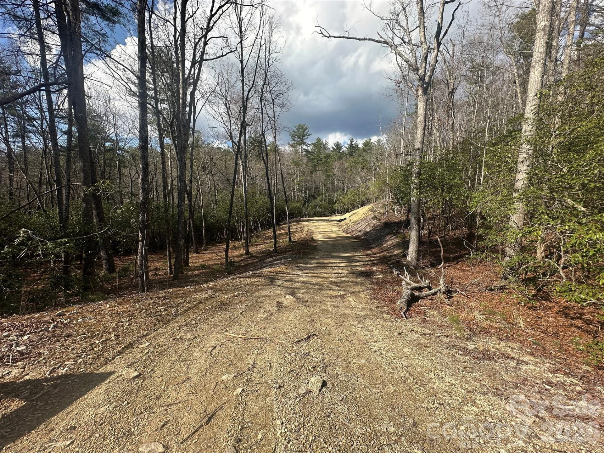 000 Bulling Creek Road - Photo 4