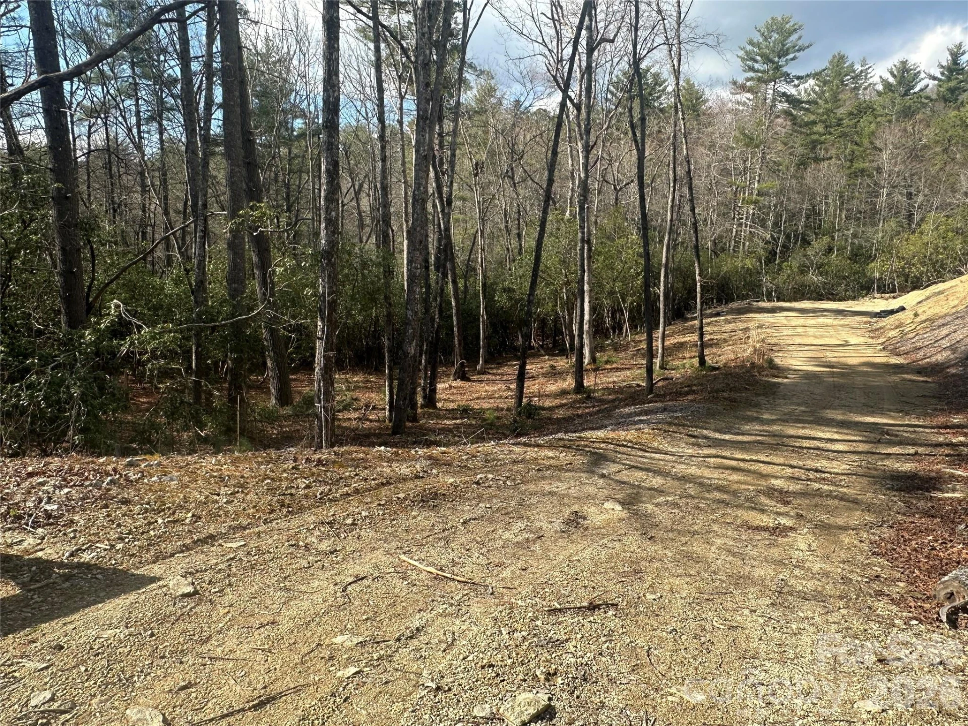000 Bulling Creek Road - Photo 5