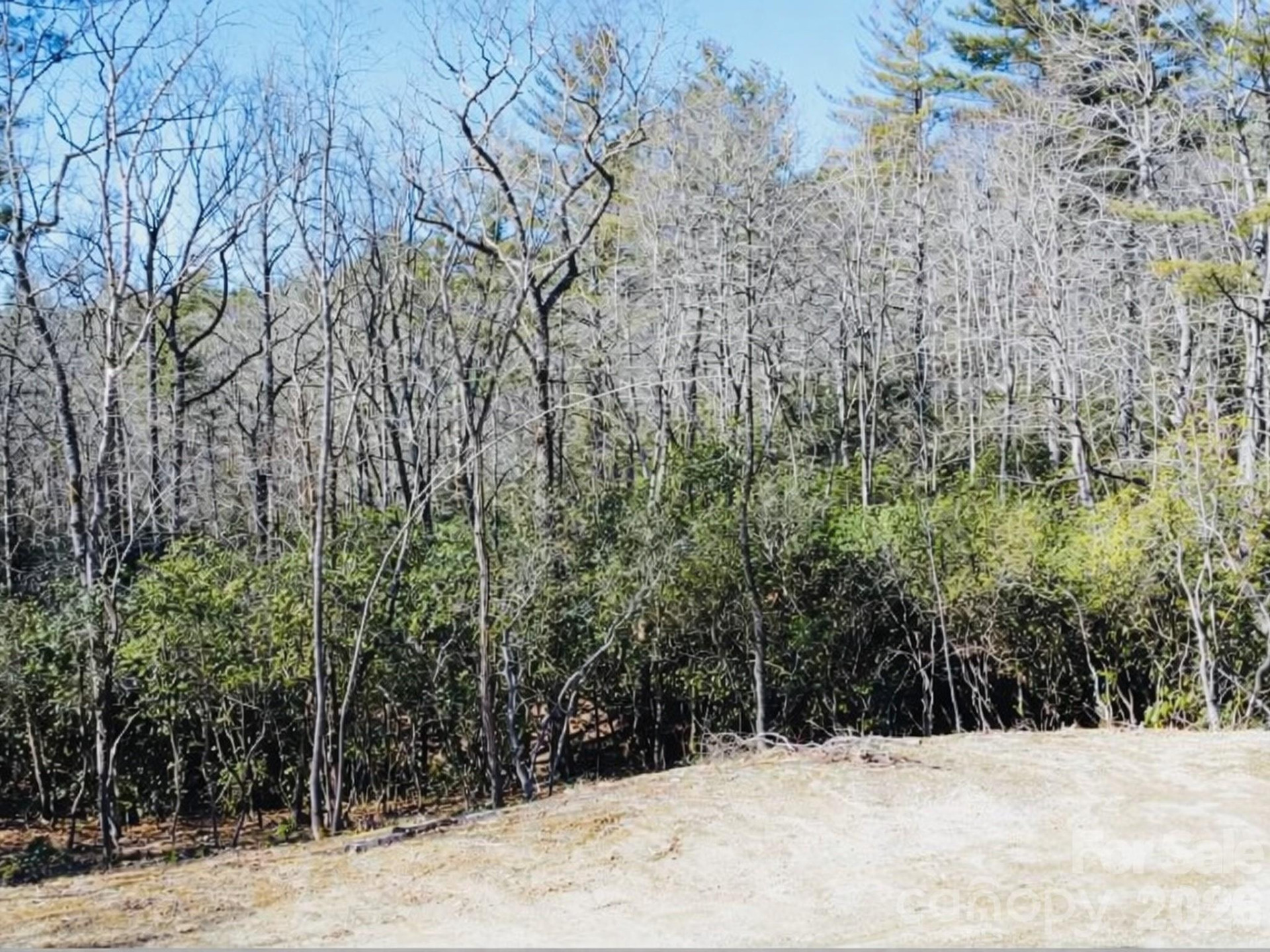 000 Bulling Creek Road - Photo 6