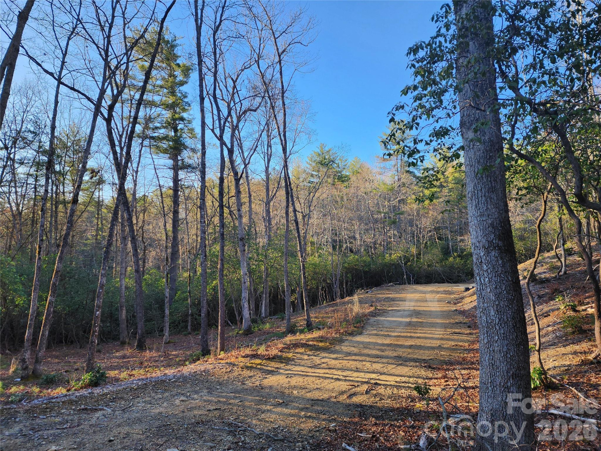 000 Bulling Creek Road - Photo 7