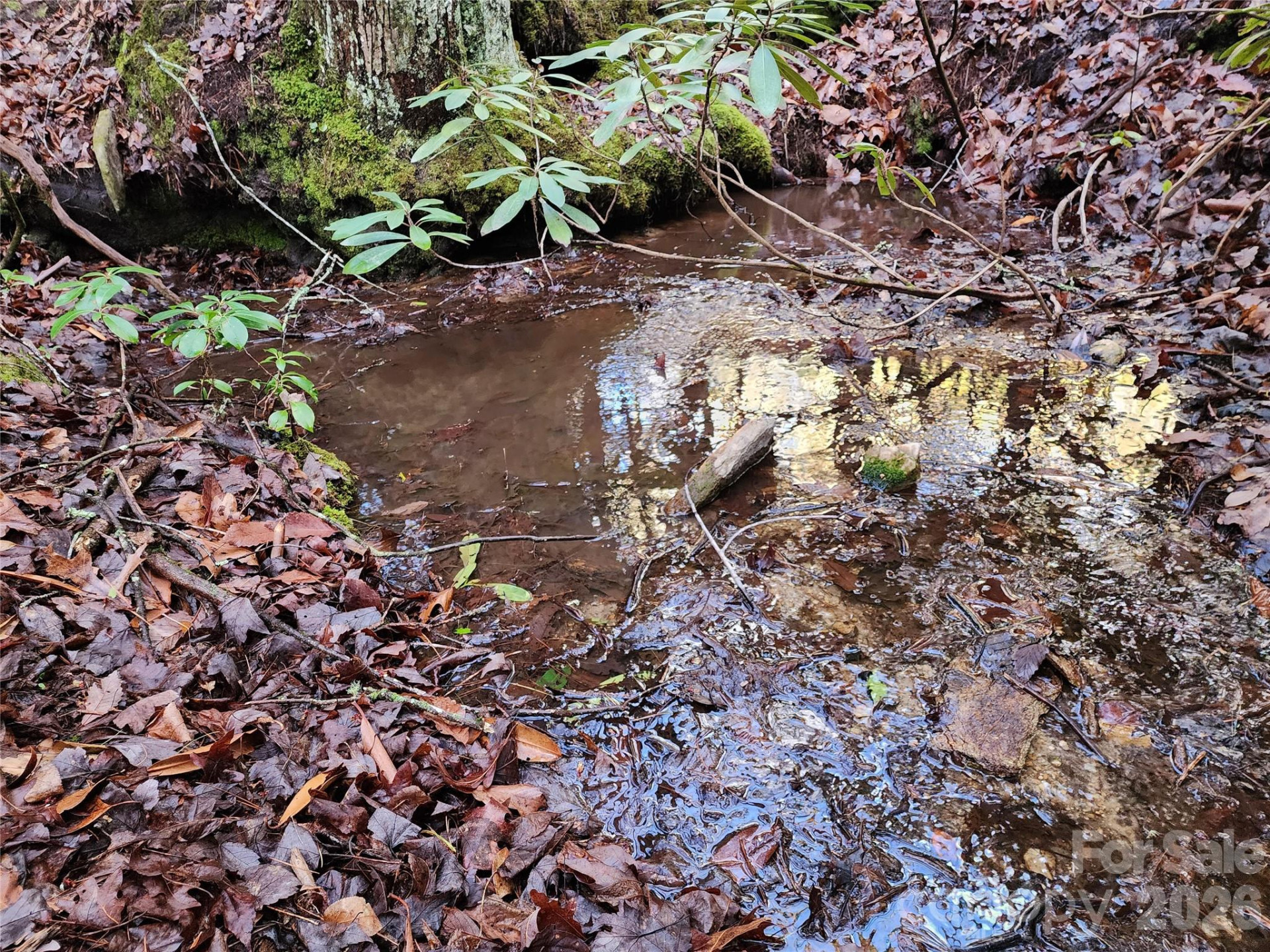 000 Bulling Creek Road - Photo 8