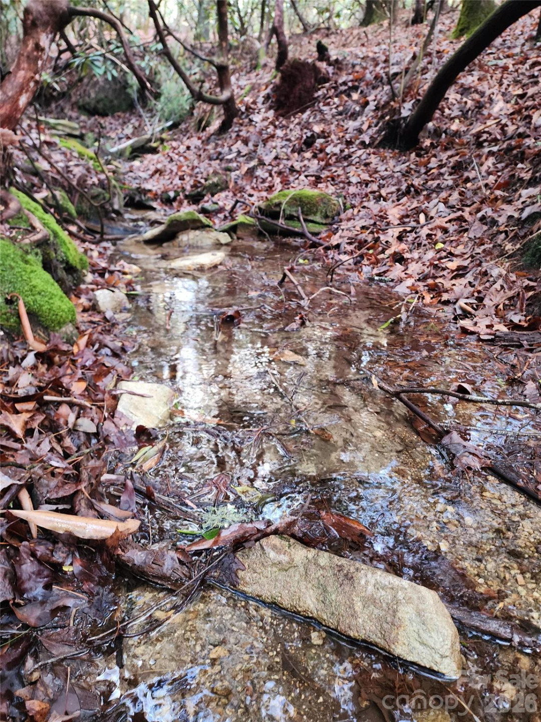 000 Bulling Creek Road - Photo 9