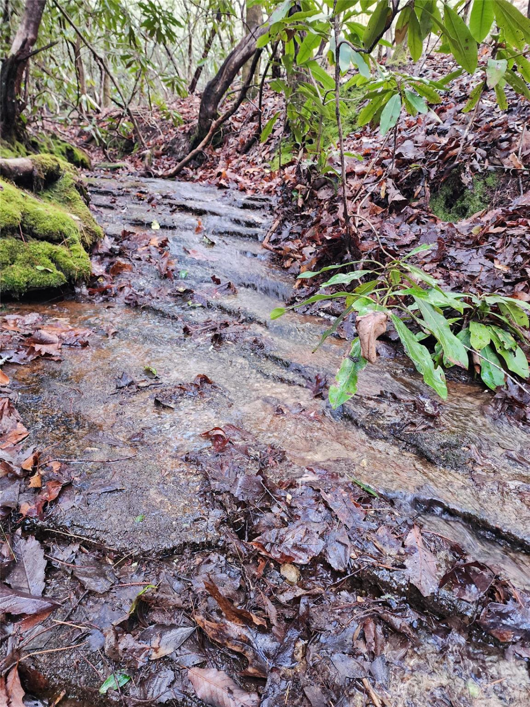 000 Bulling Creek Road - Photo 10