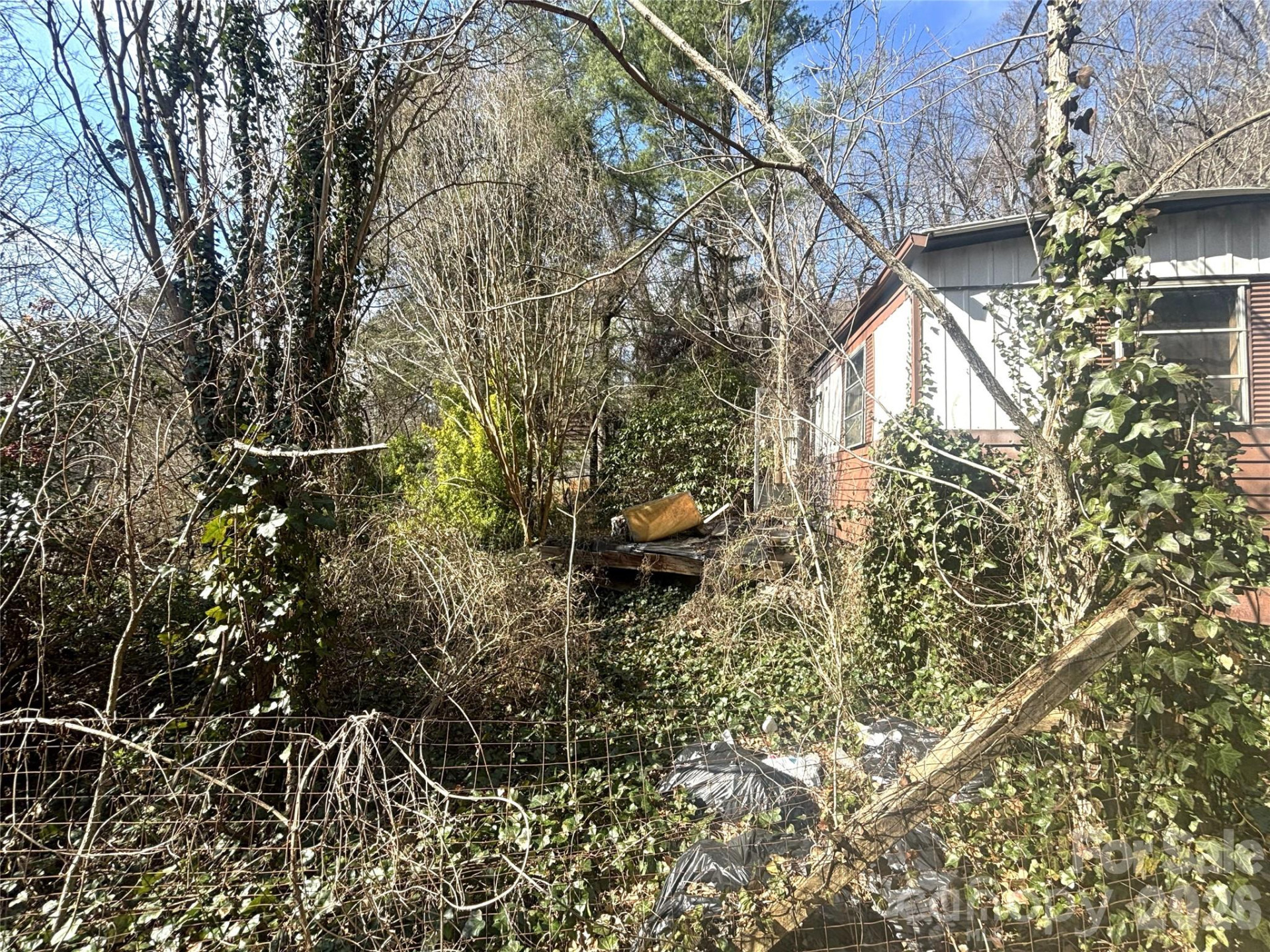 124 Candler Knob Road - Photo 2