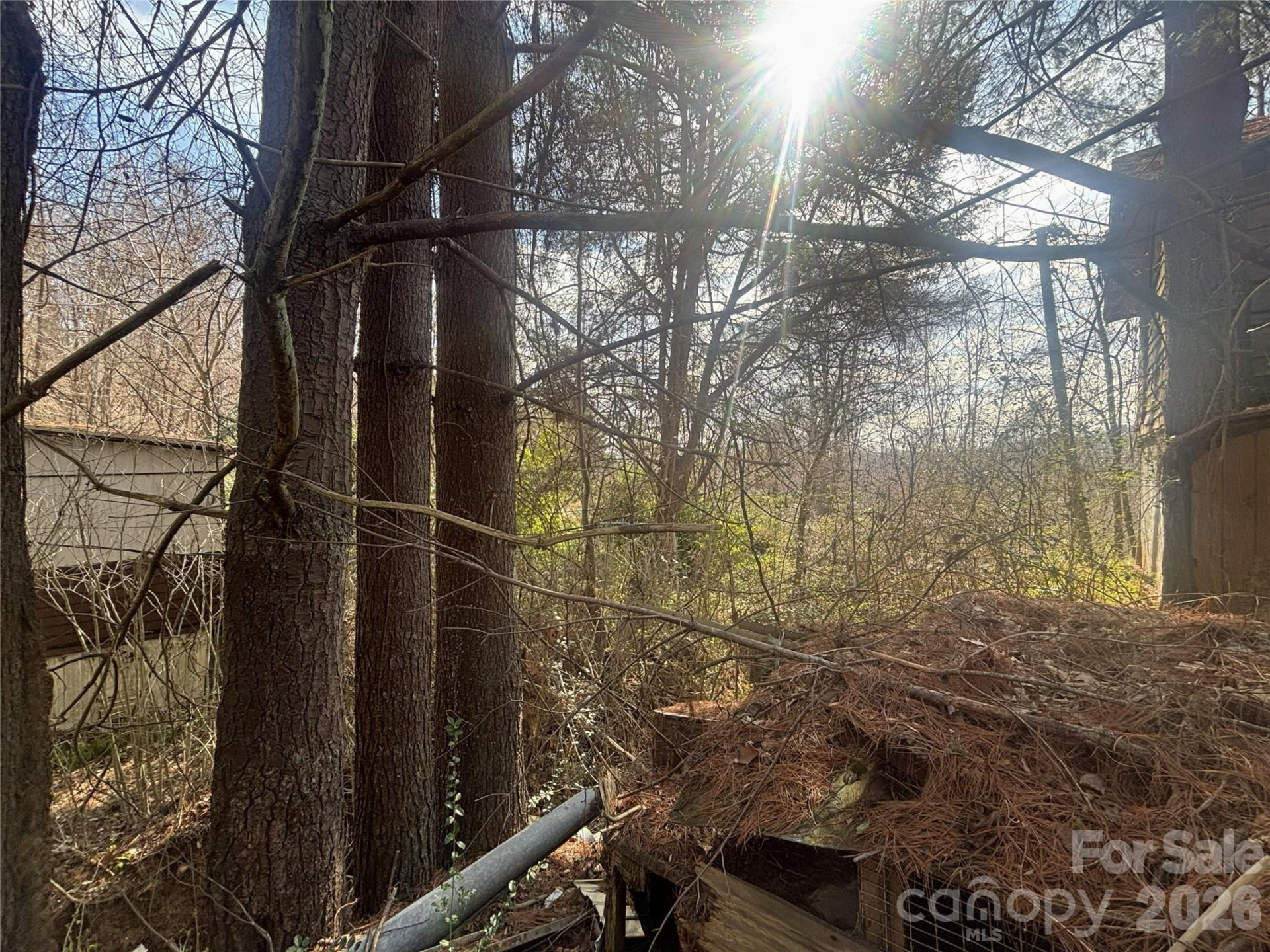 124 Candler Knob Road - Photo 11