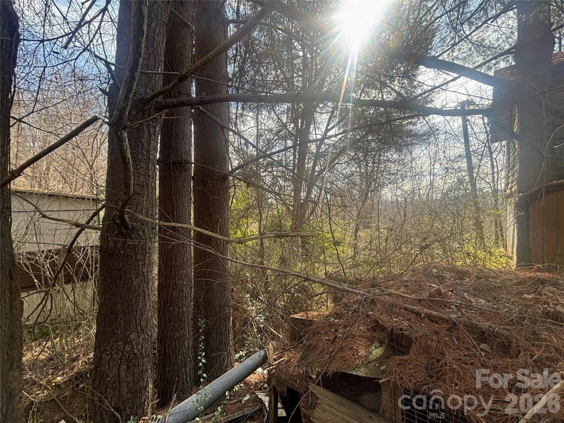 124 Candler Knob Road - Photo 11