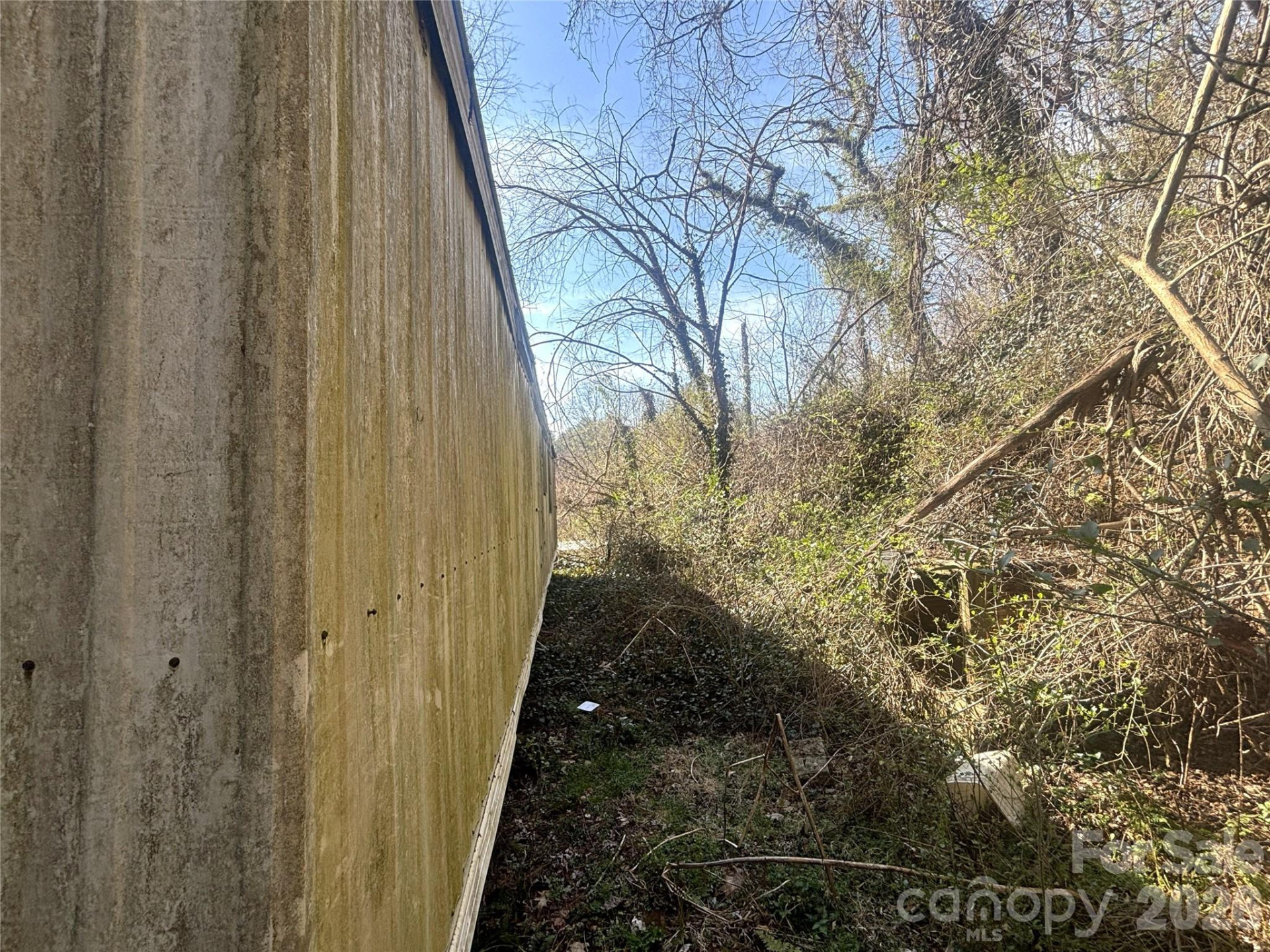 124 Candler Knob Road - Photo 13