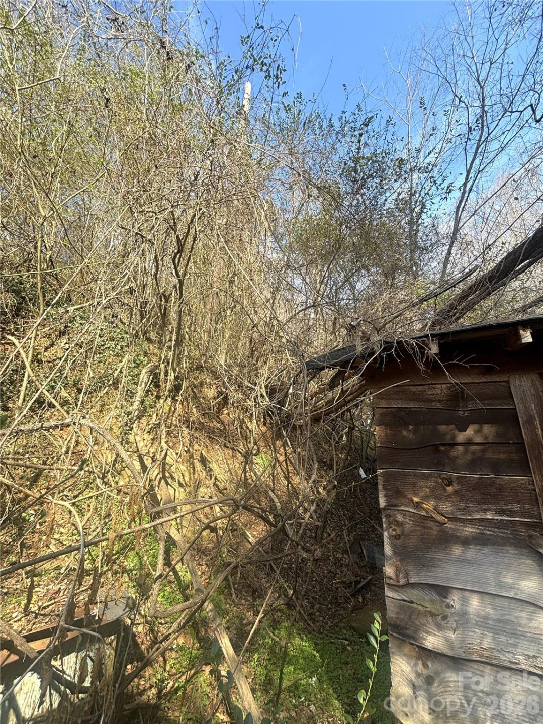 124 Candler Knob Road - Photo 14