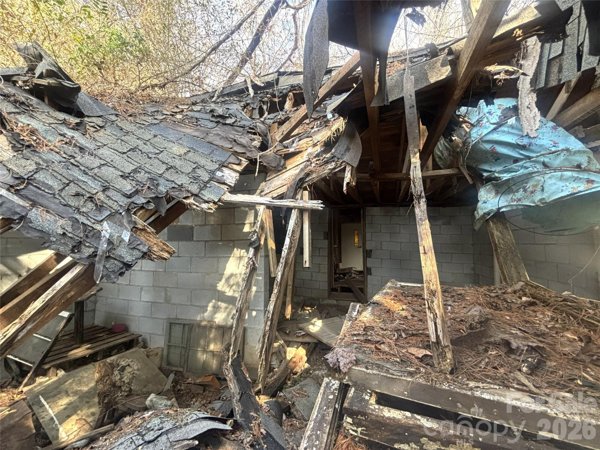 124 Candler Knob Road - Photo 15