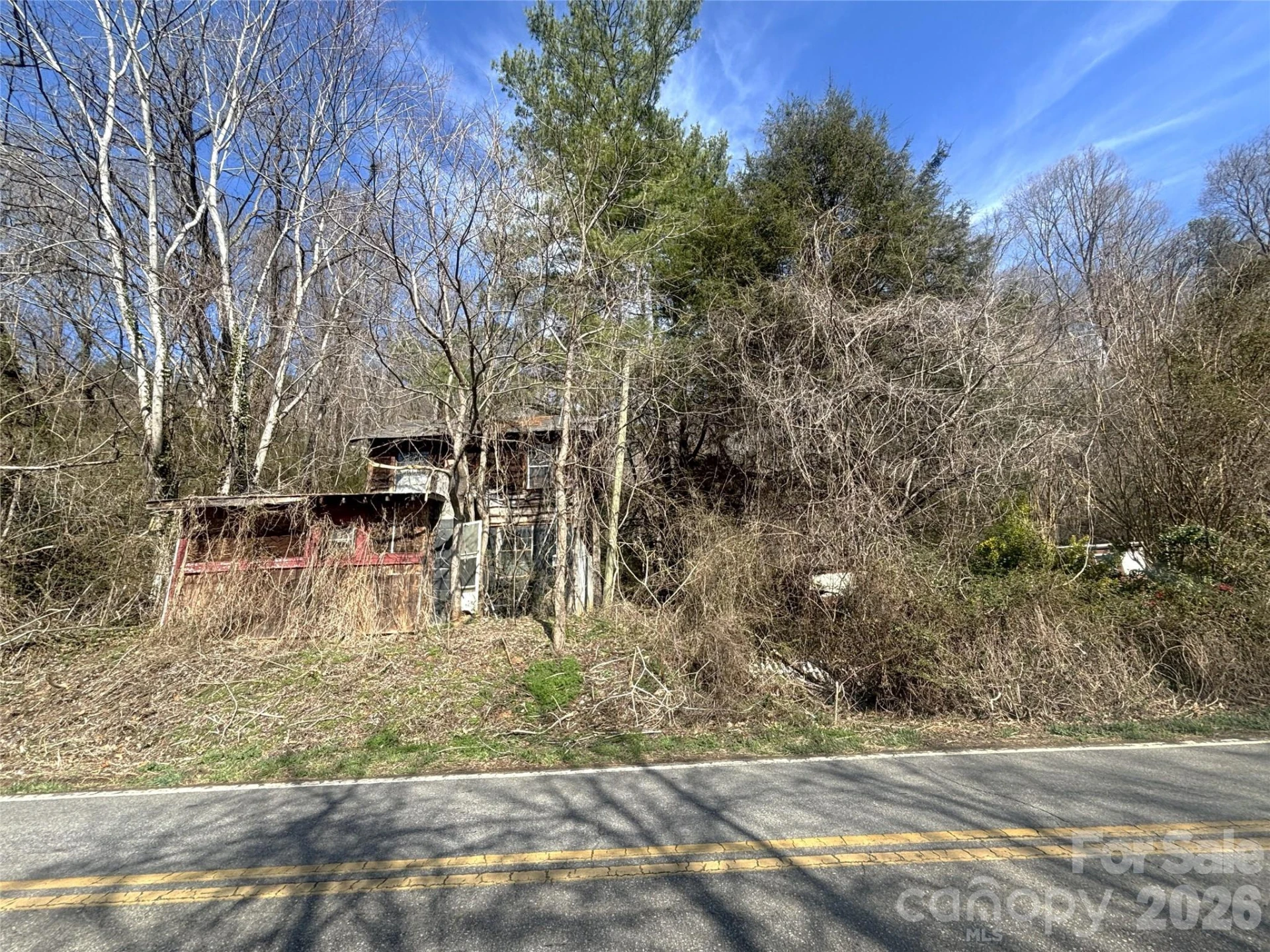 124 Candler Knob Road - Photo 3