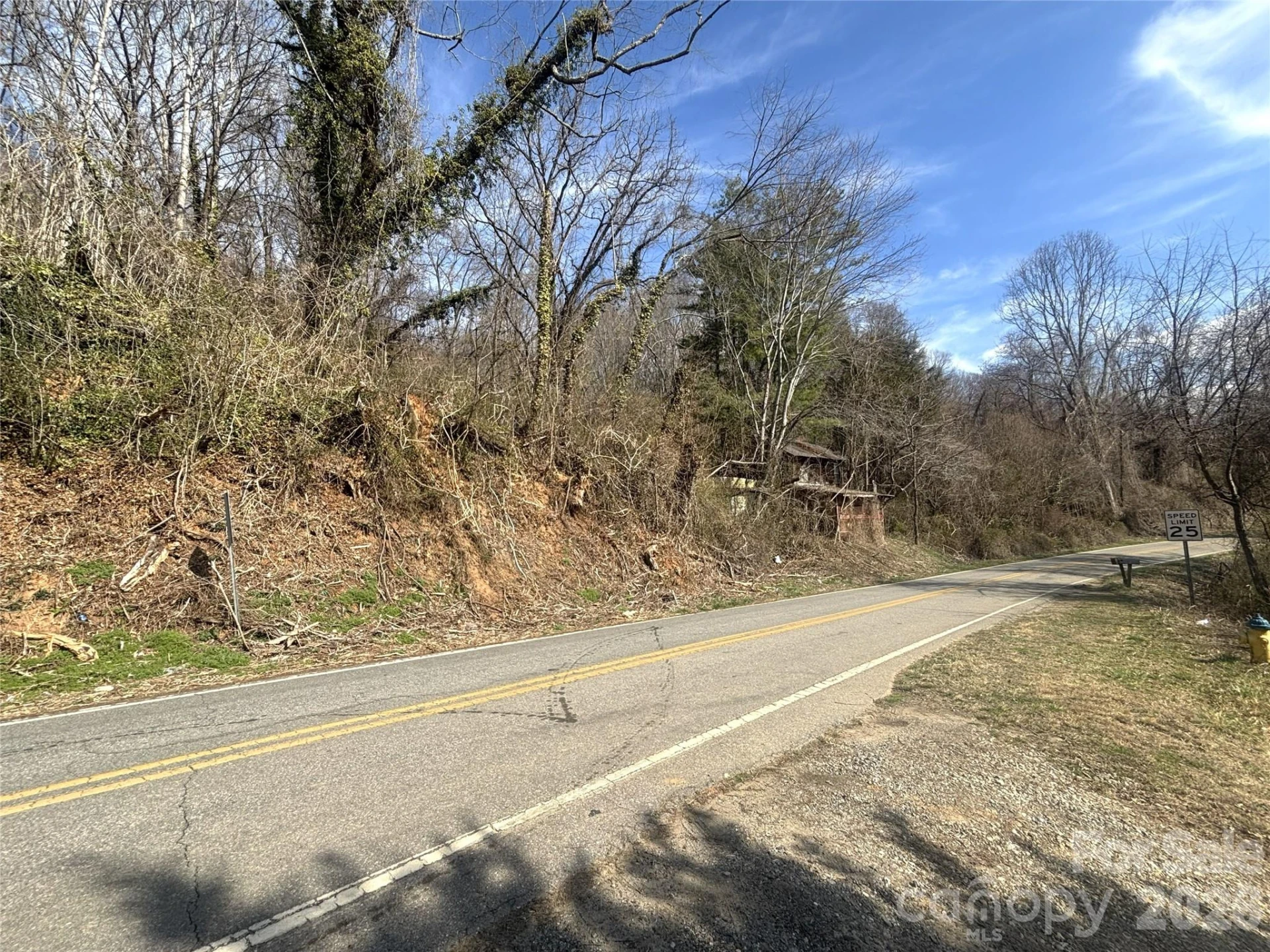 124 Candler Knob Road - Photo 5
