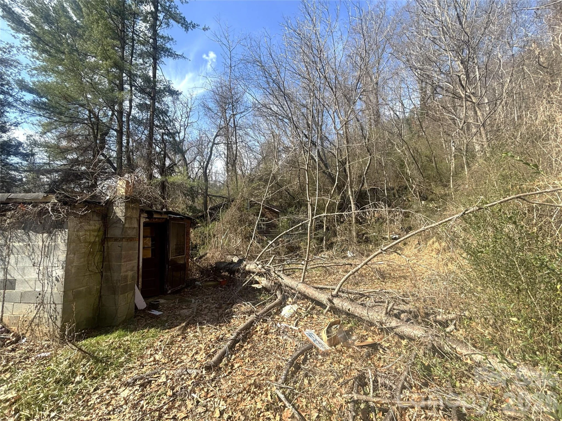 124 Candler Knob Road - Photo 8