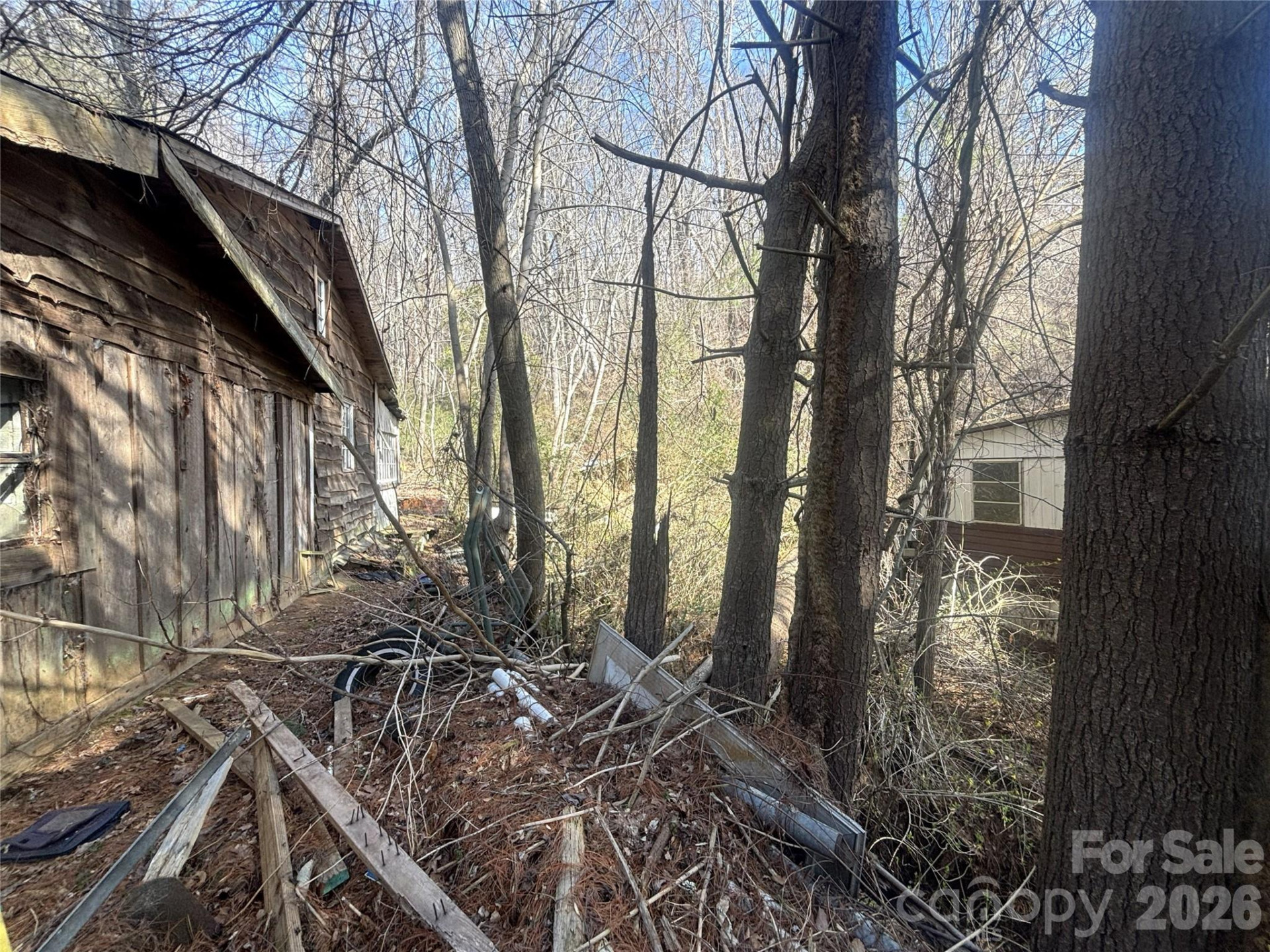 124 Candler Knob Road - Photo 10