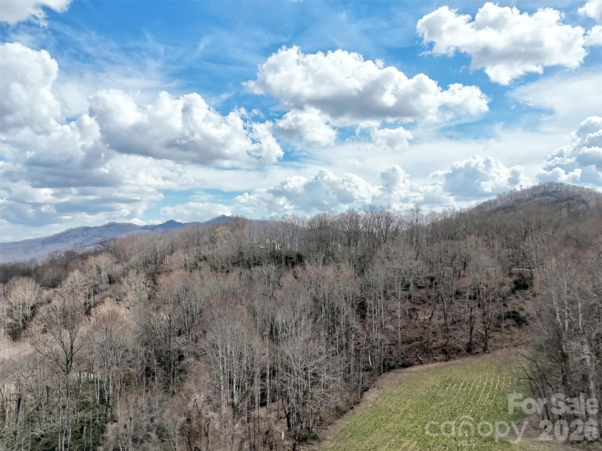 63 Alpaugh Drive - Photo 45