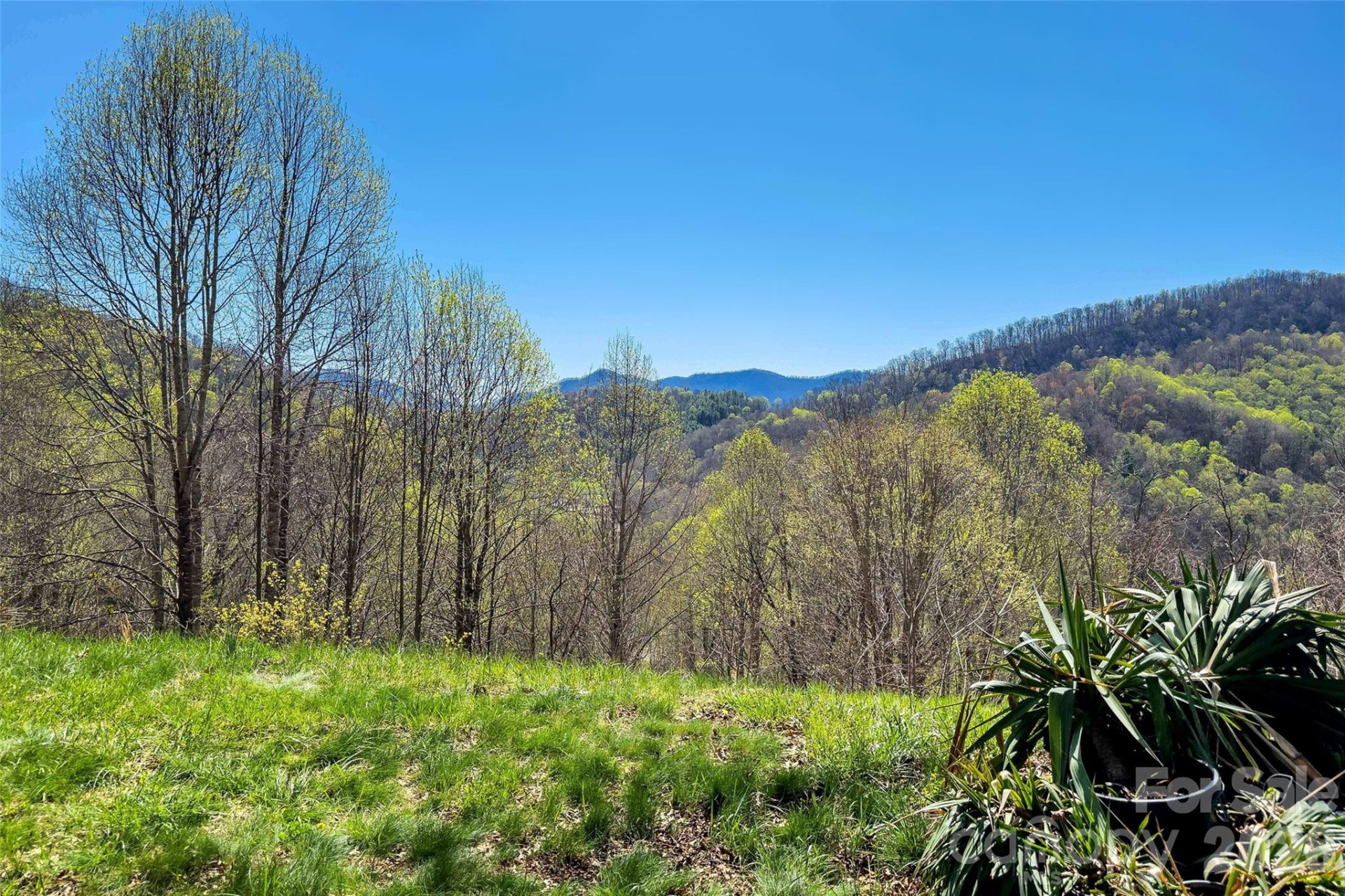 311 Pisgah Mine Road - Photo 16