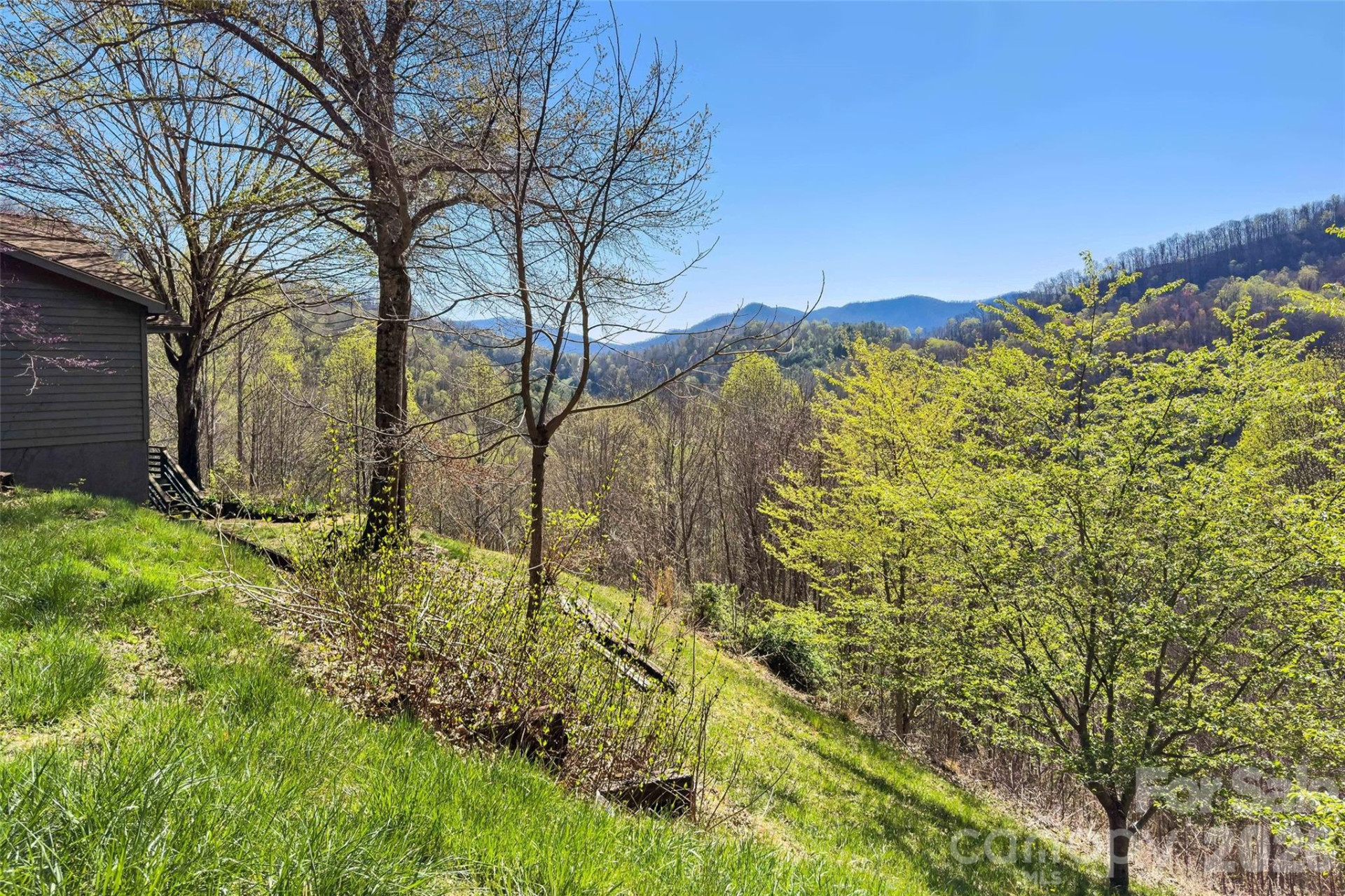 311 Pisgah Mine Road - Photo 46