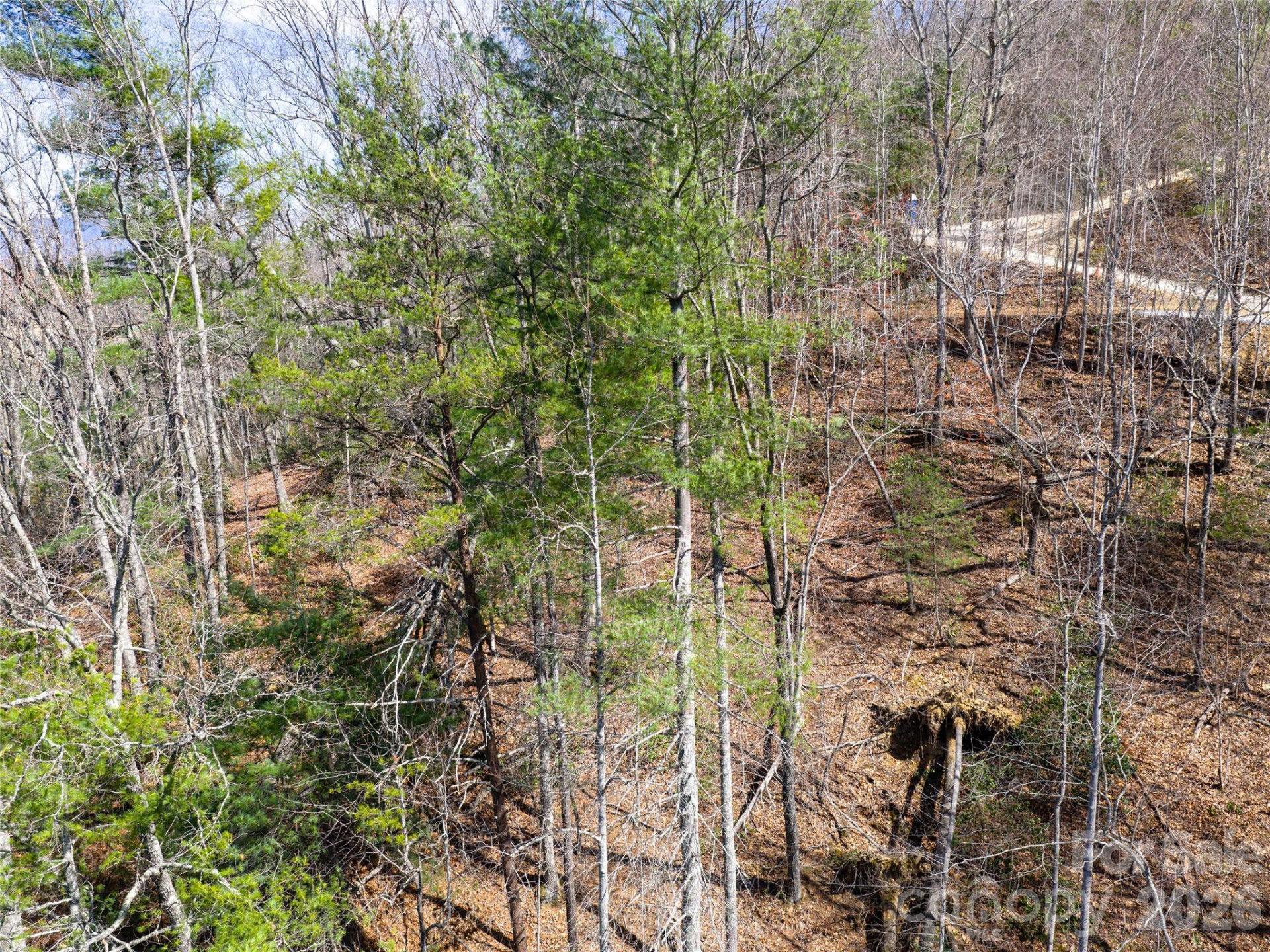 99999 Okoboji Drive - Photo 12