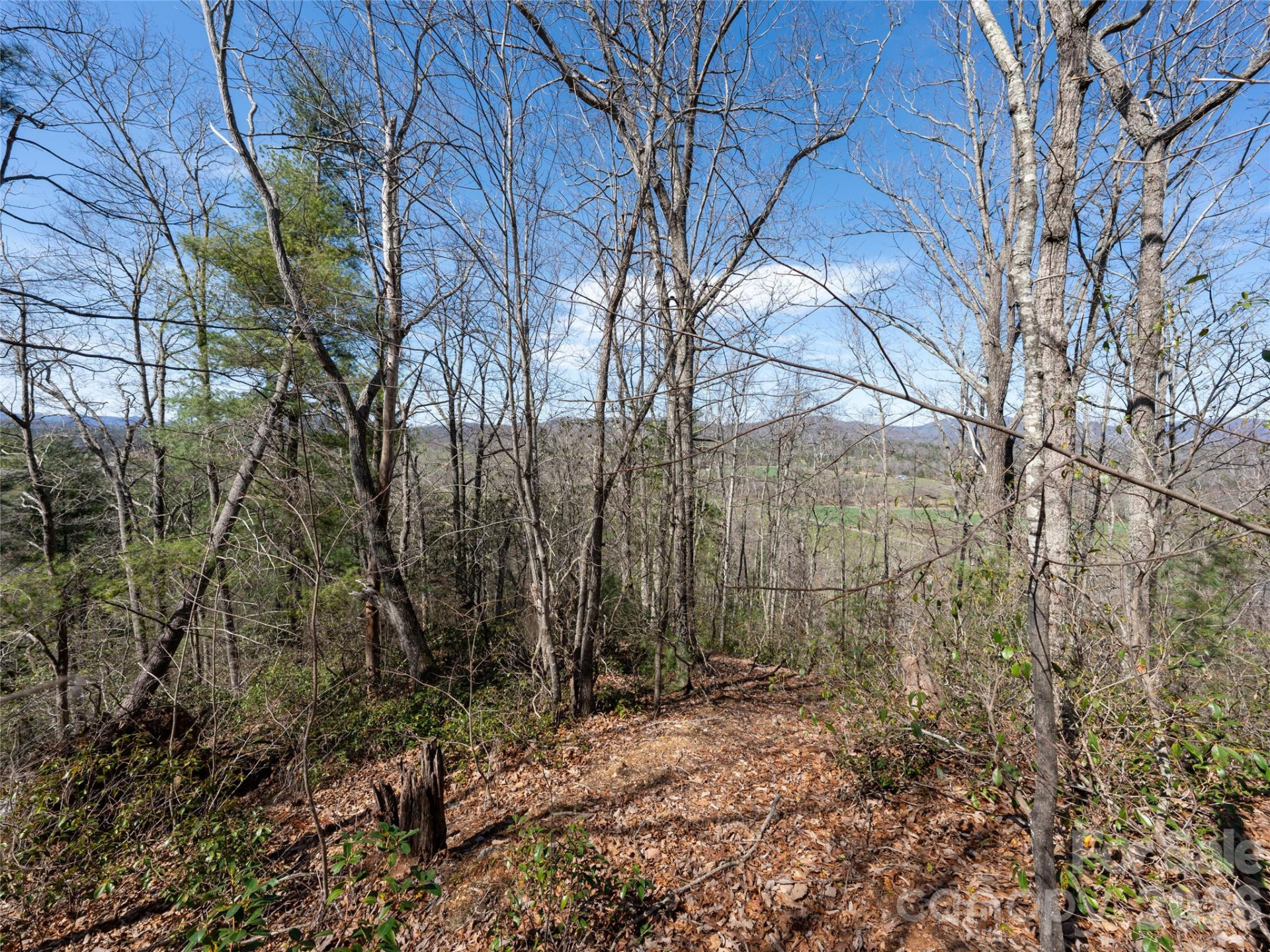 99999 Okoboji Drive - Photo 4